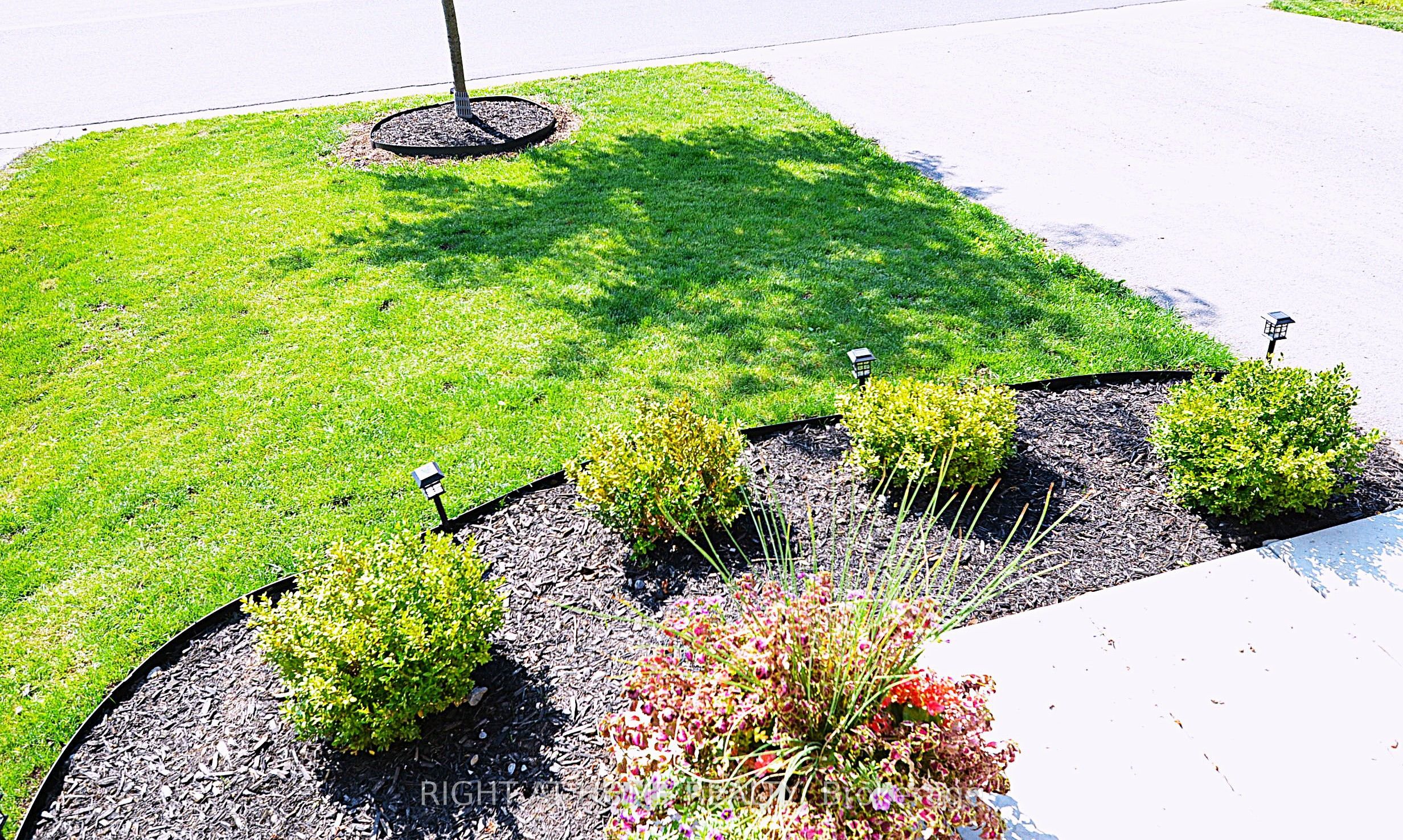 1120 Rippingale Trail Property Photo 5