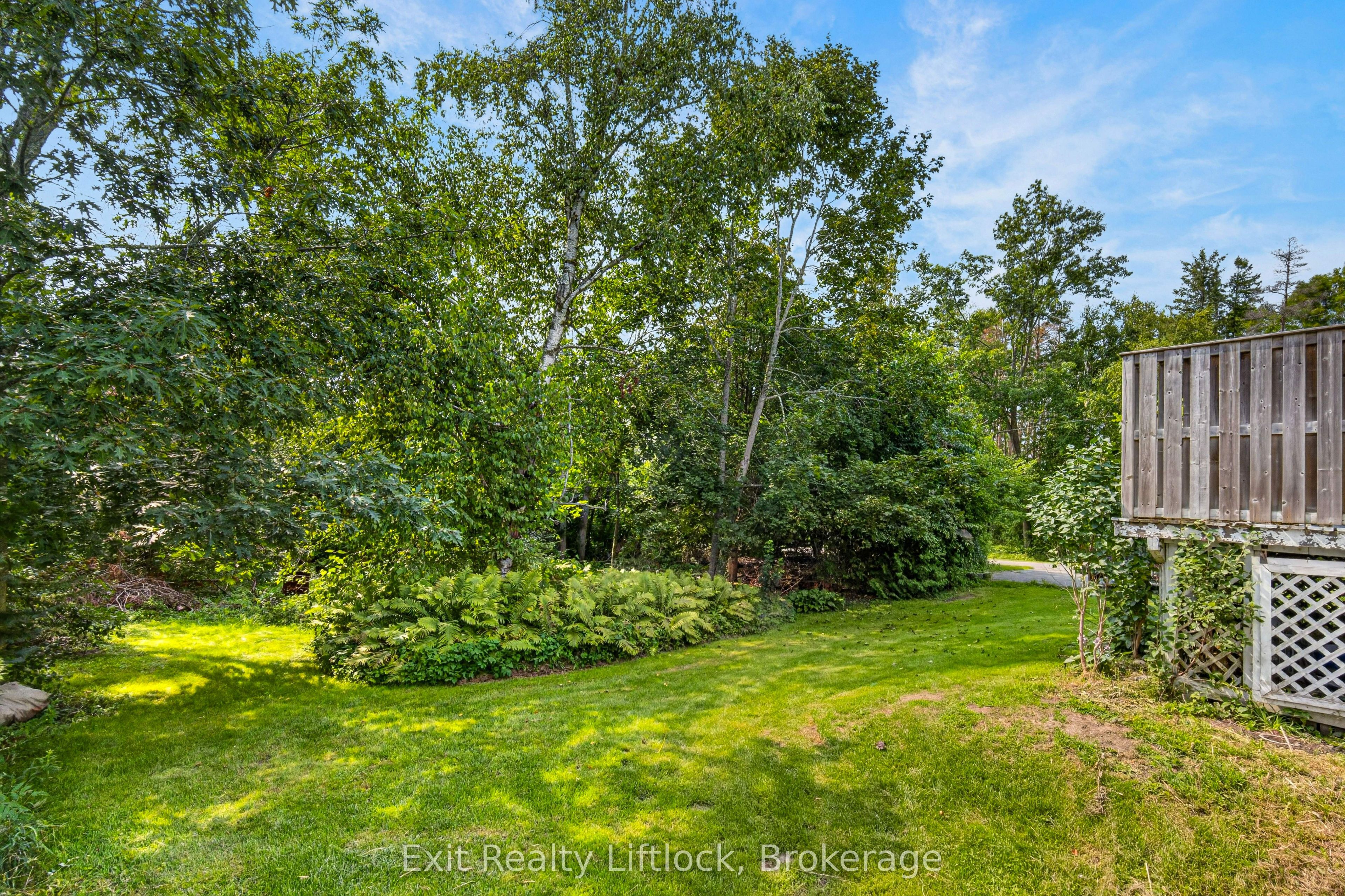 3 Basswood Street Property Photo 35