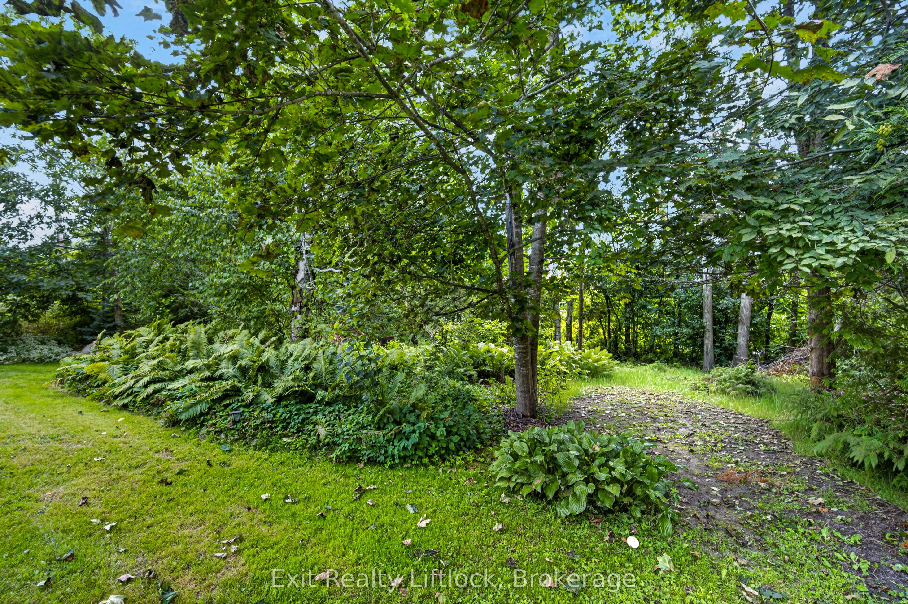 3 Basswood Street Property Photo 38