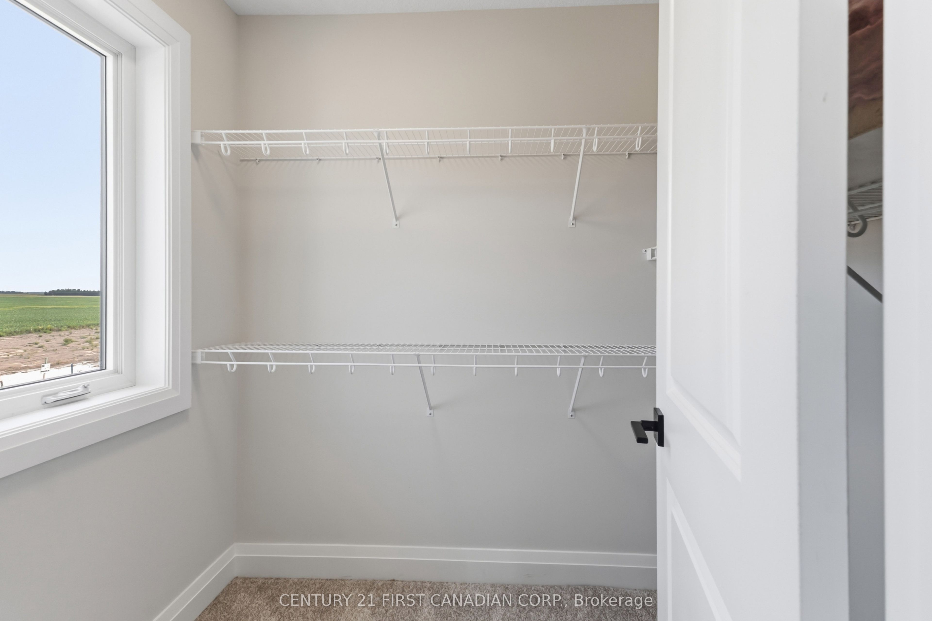 115 Addison Avenue Property Photo 22