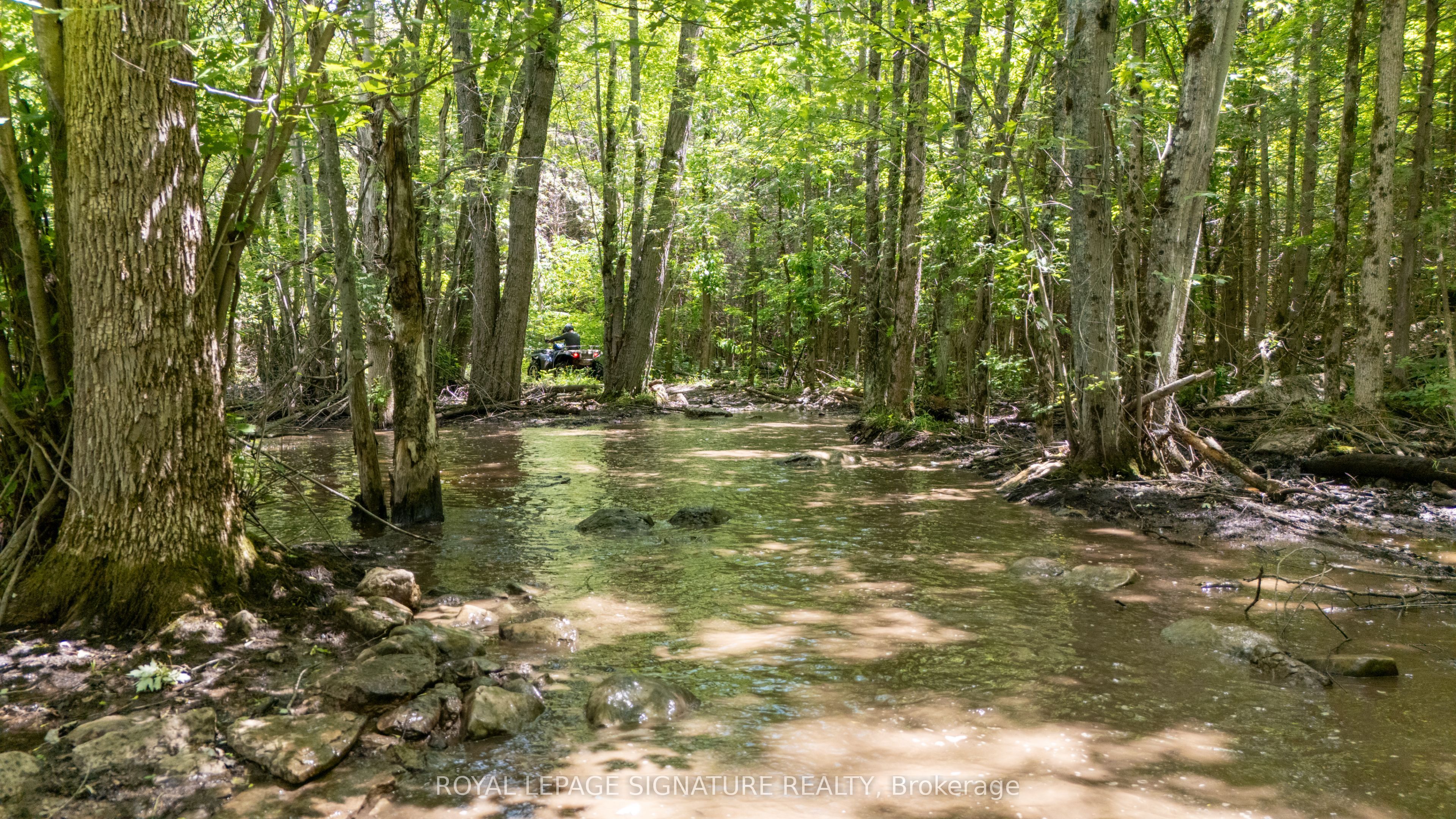 178 Koa Campground Road Property Photo 8