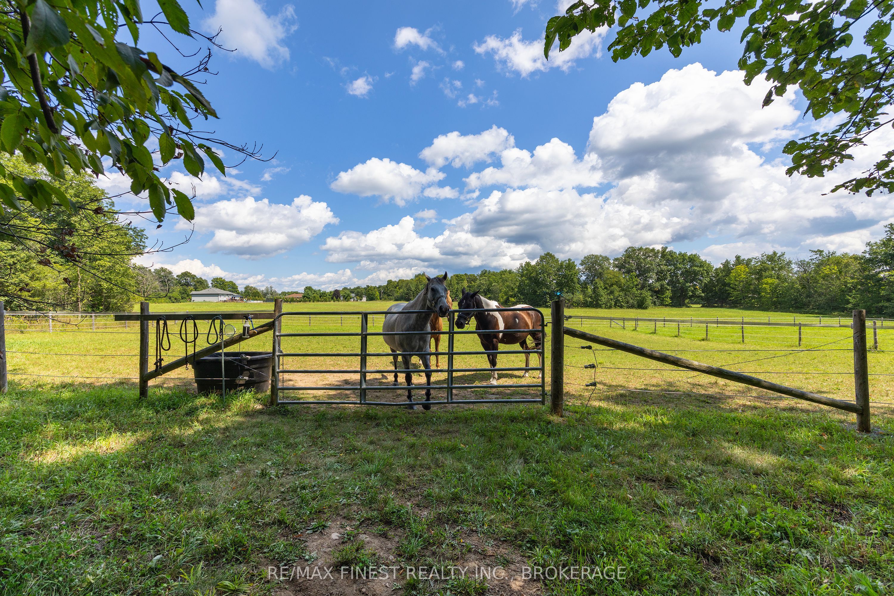 2961 Railton Road Property Photo 35