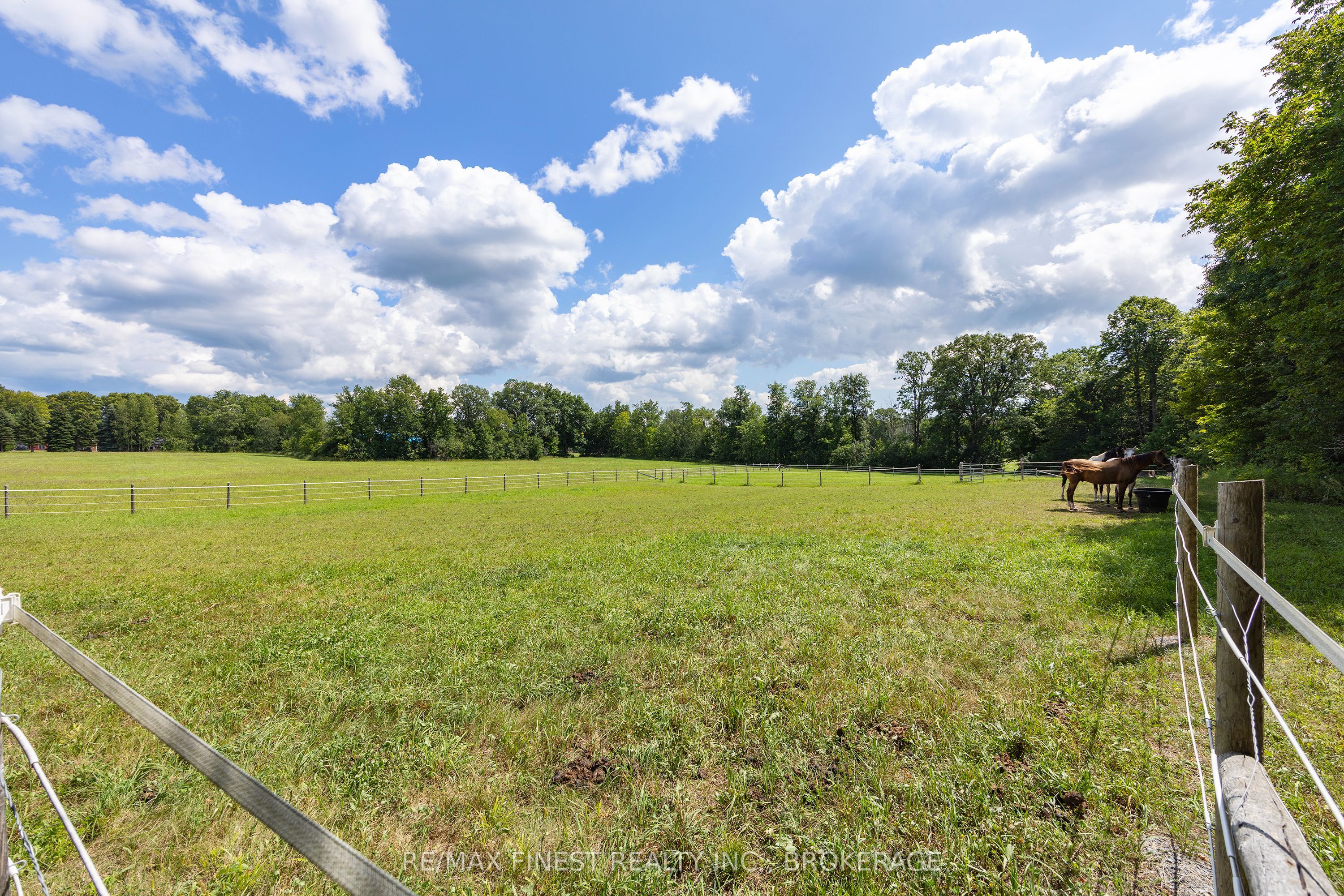 2961 Railton Road Property Photo 36