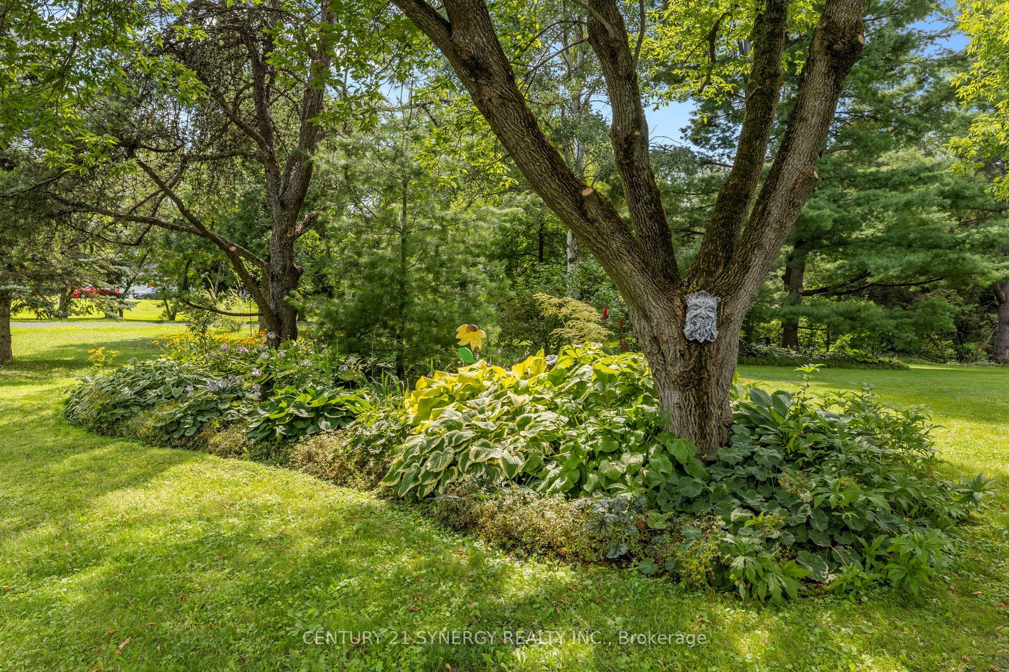 955 Du Castor Road Property Photo 3