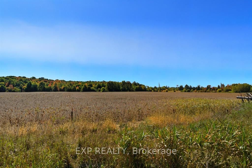 2830 Concession 4 Road Property Photo 31