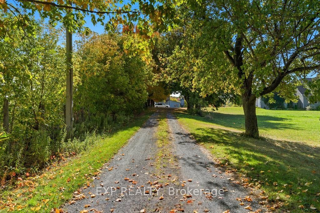 2830 Concession 4 Road Property Photo 38