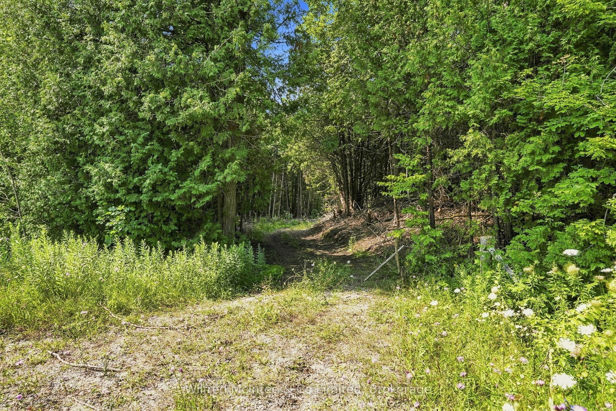 381612 Con 4 Ndr Road Property Photo 7