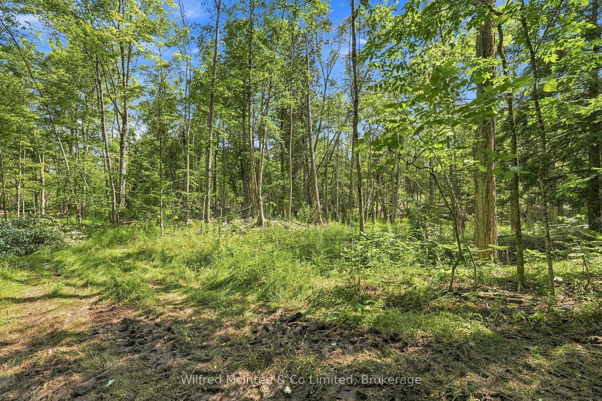 381612 Con 4 Ndr Road Property Photo 8