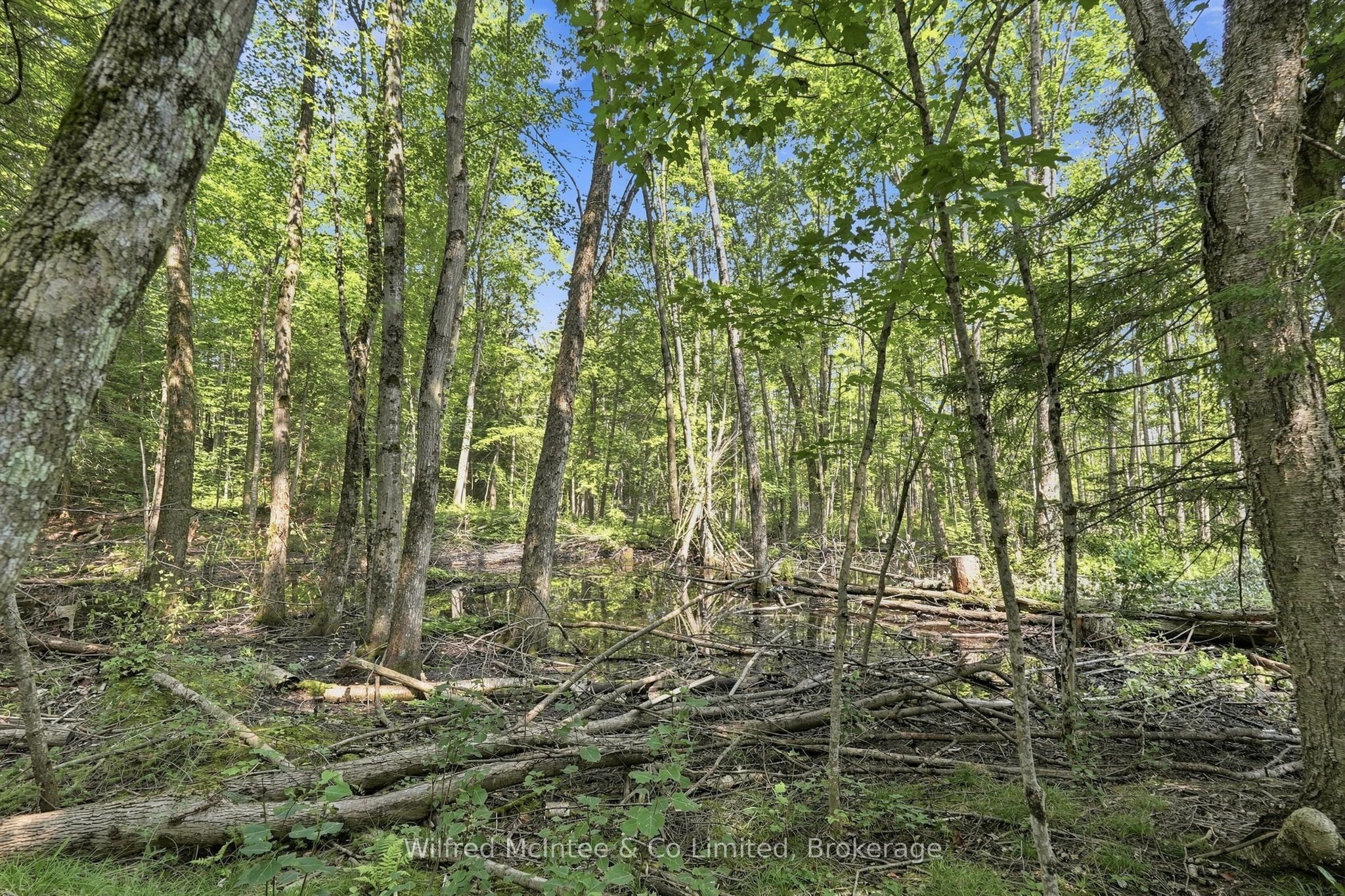 381612 Con 4 Ndr Road Property Photo 11