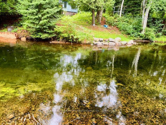 1097 Hawk Valley Road Property Photo 3