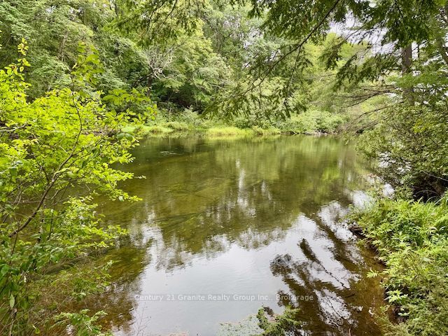 1097 Hawk Valley Road Property Photo 42