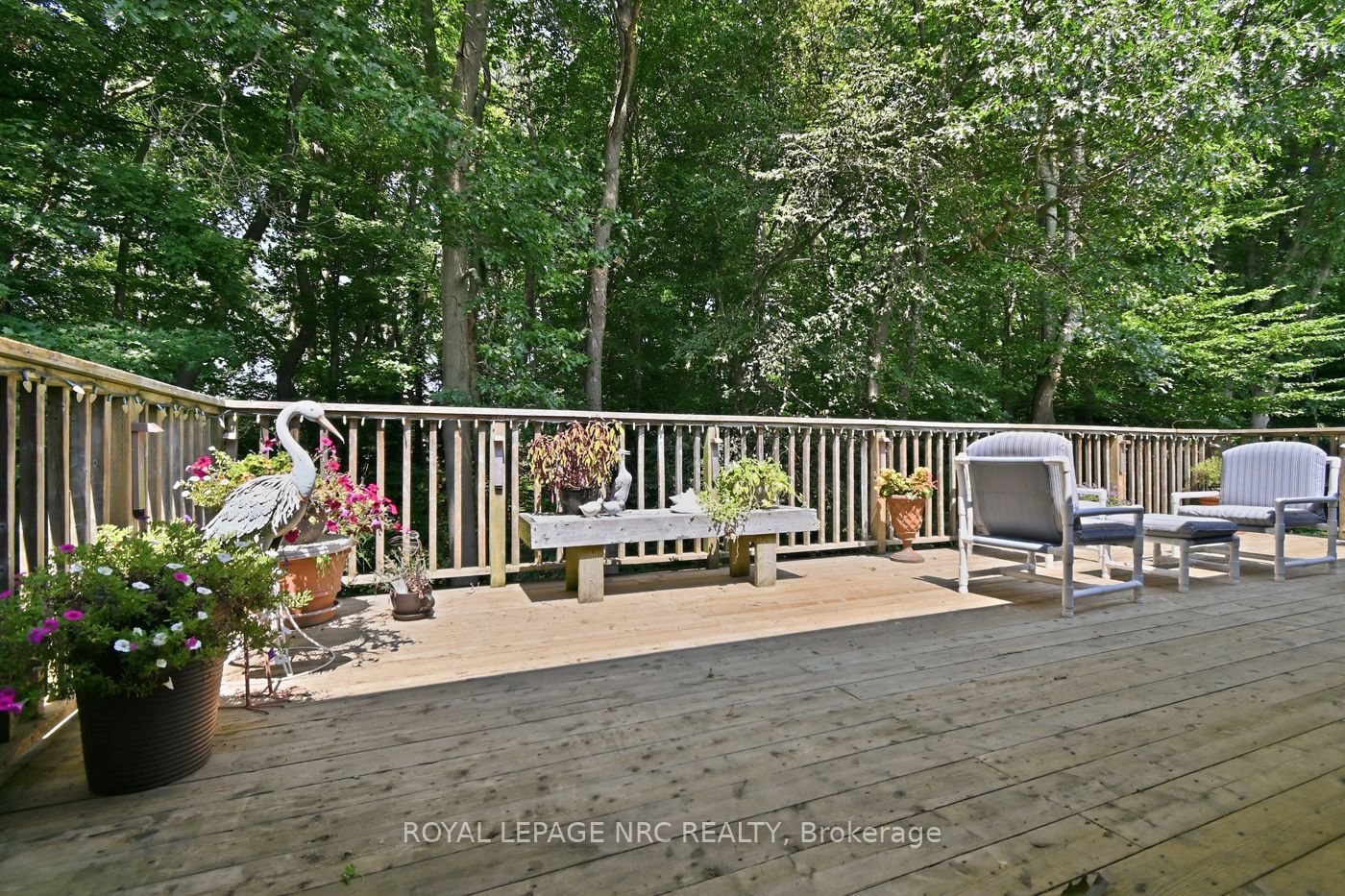 79 Cherry Ridge Boulevard Property Photo 24