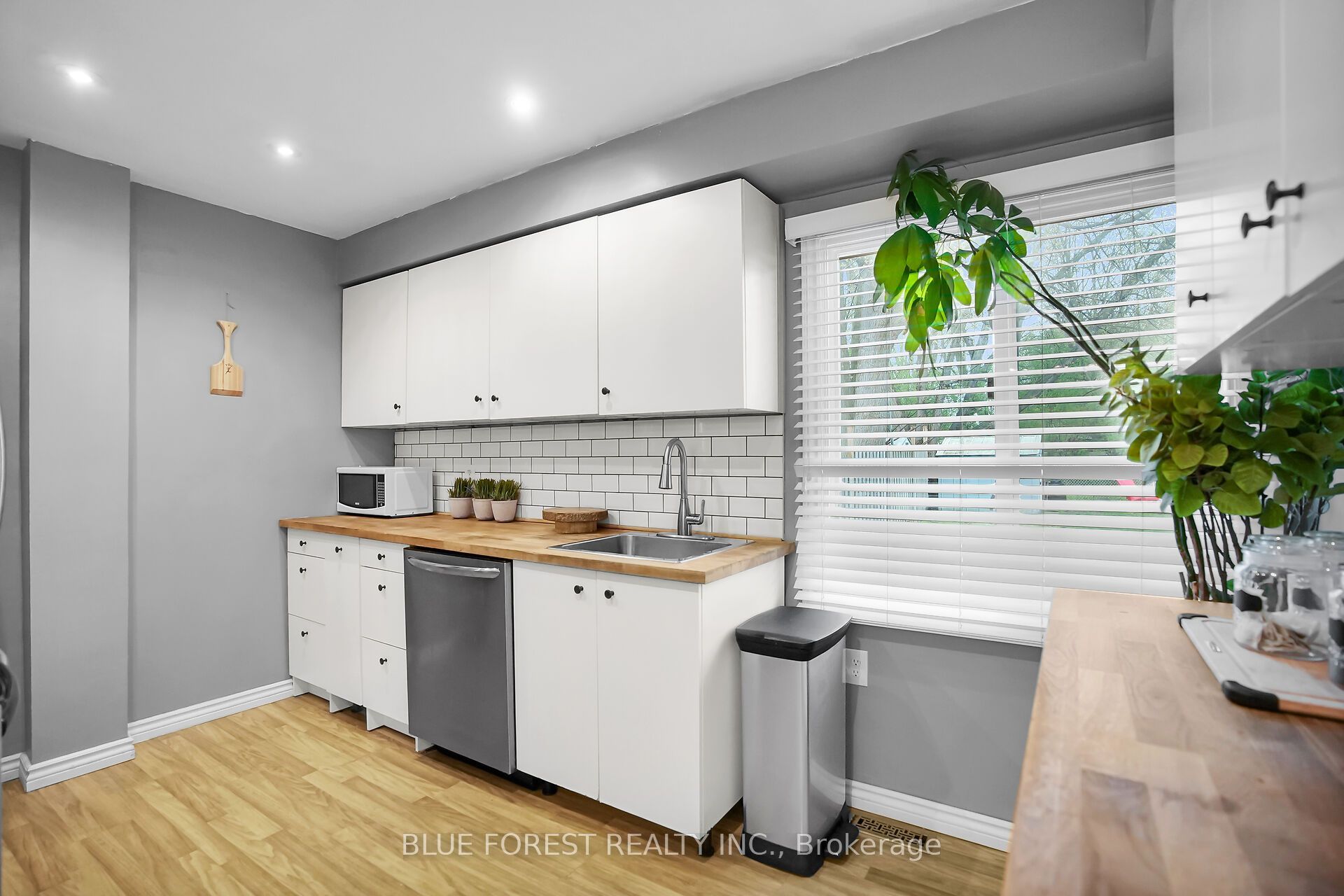 9 Ardsley Road Property Photo 10