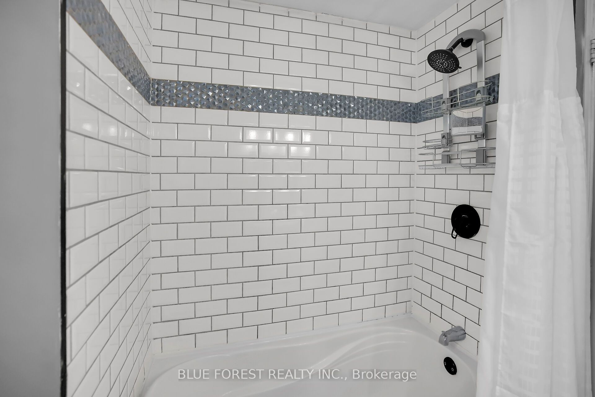 9 Ardsley Road Property Photo 19