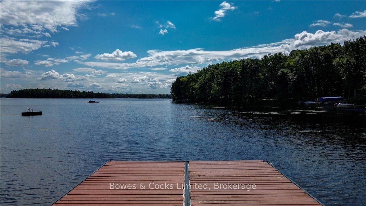 1115 Cook Road Property Photo 46