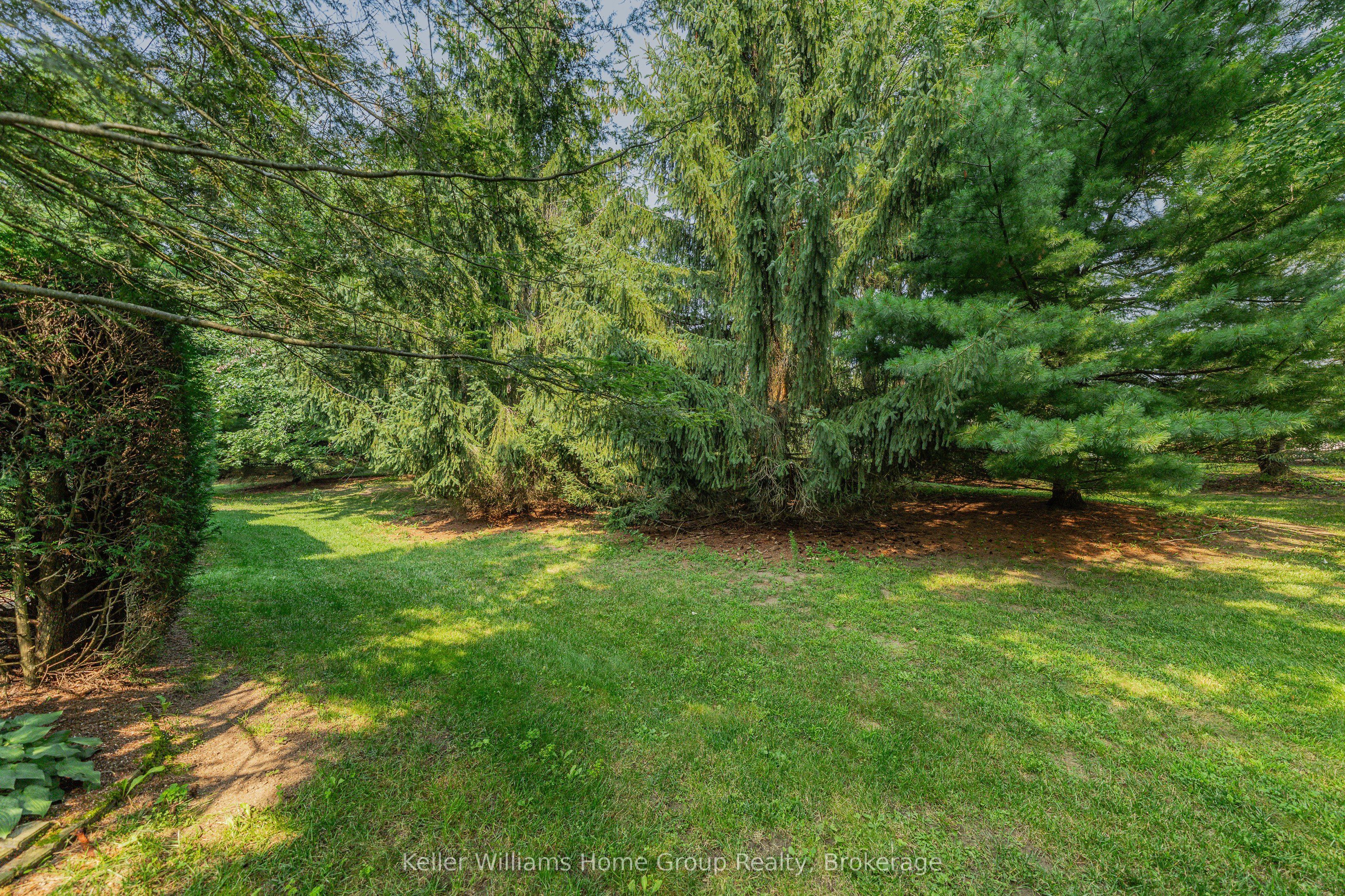 85 White Bark Way Property Photo 38