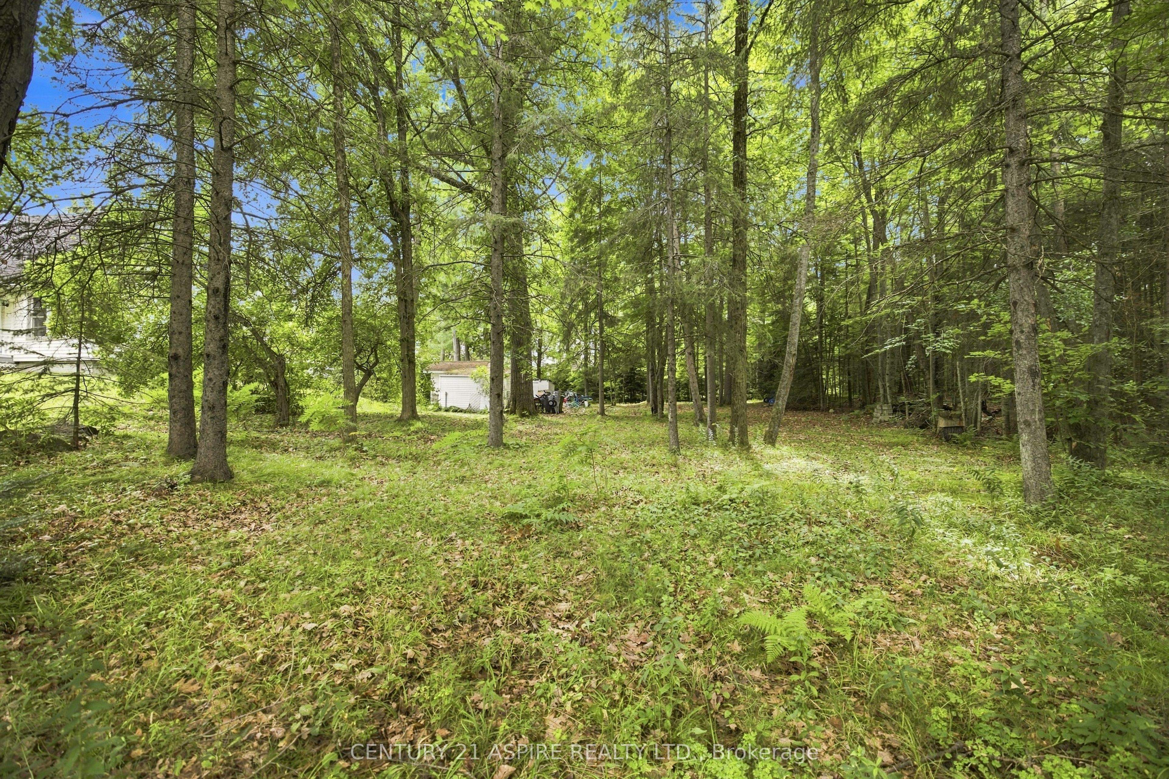 2583 B Line Road Property Photo 44