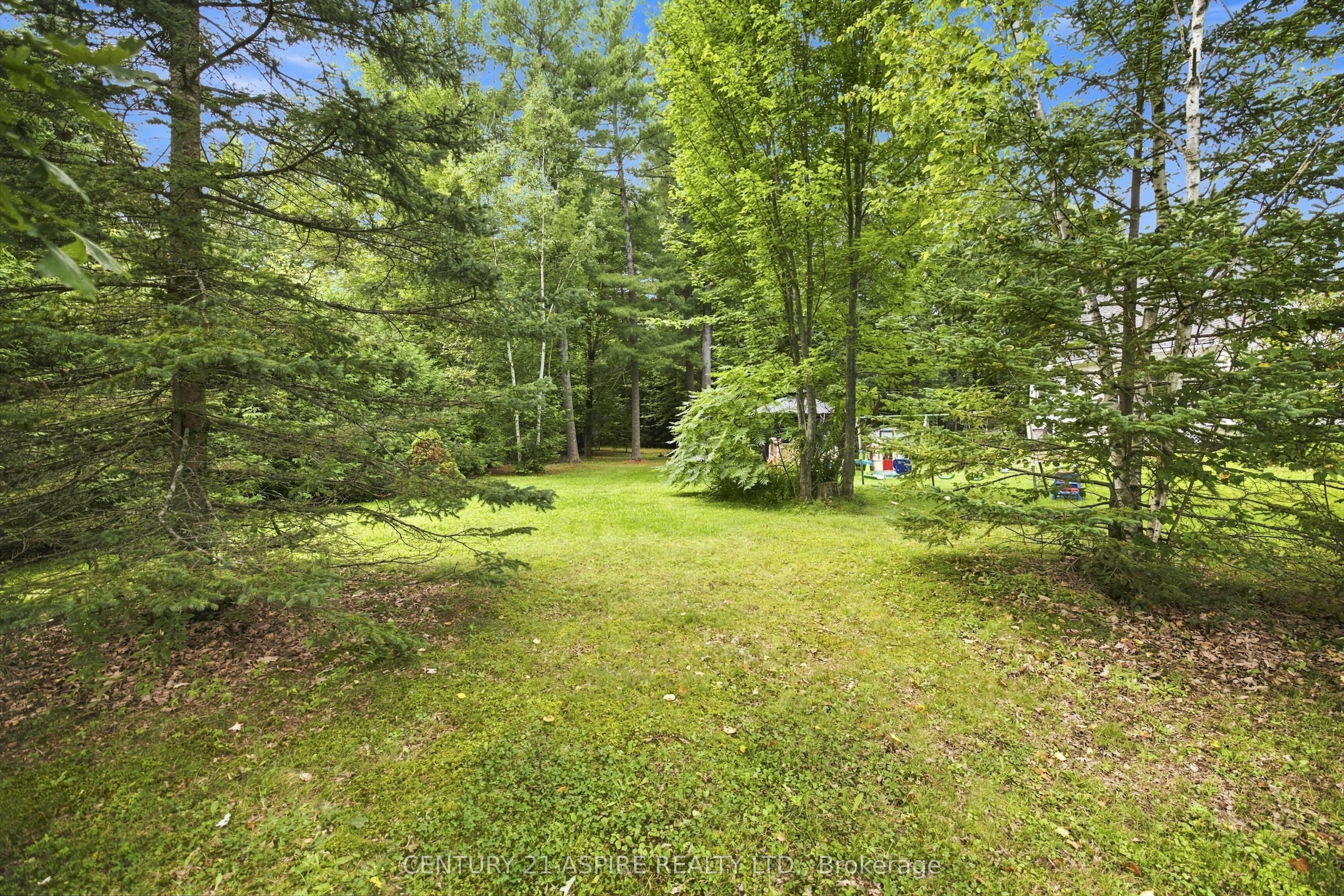 2583 B Line Road Property Photo 45