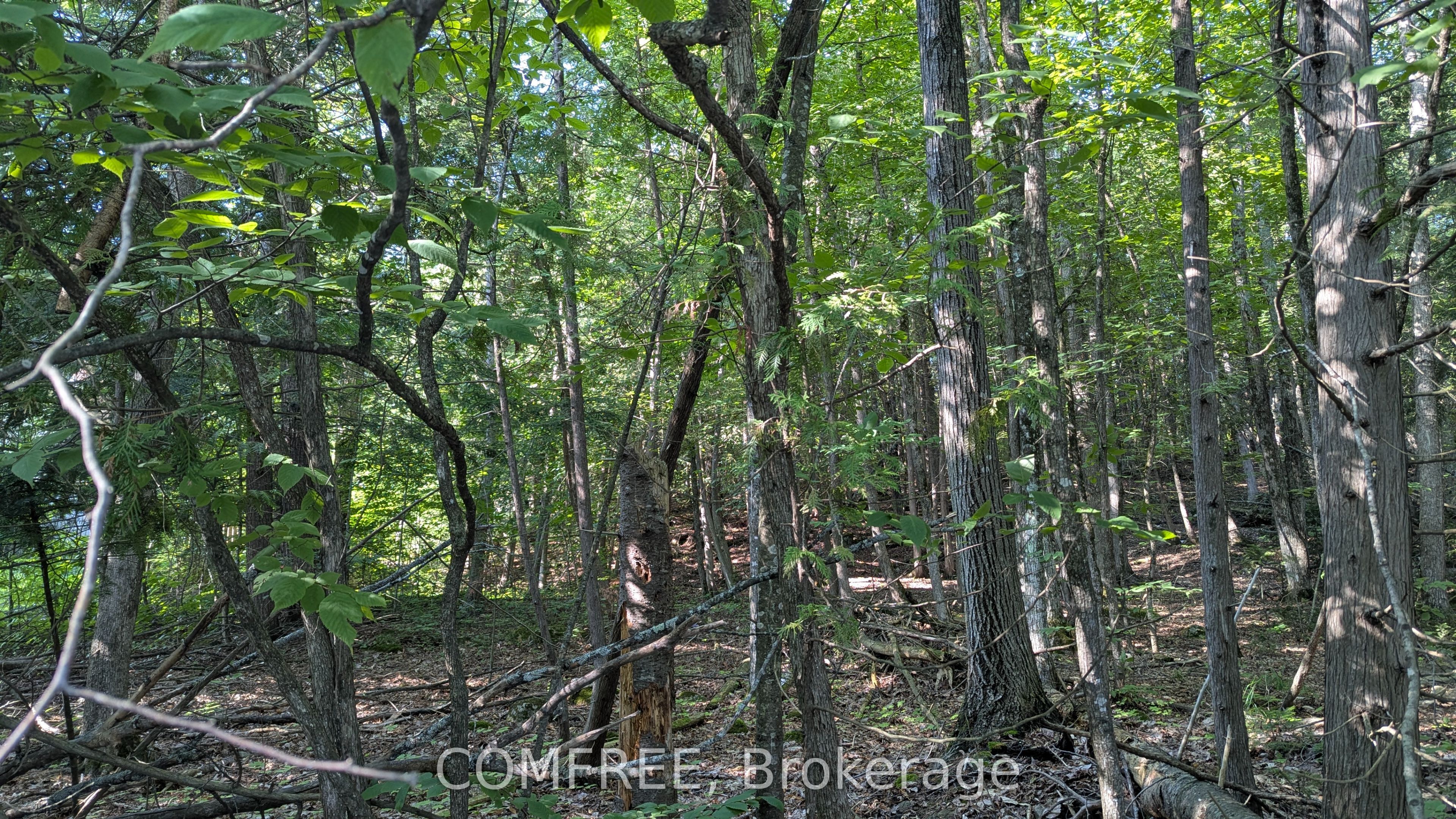 4853 Opeongo Road Property Photo 1