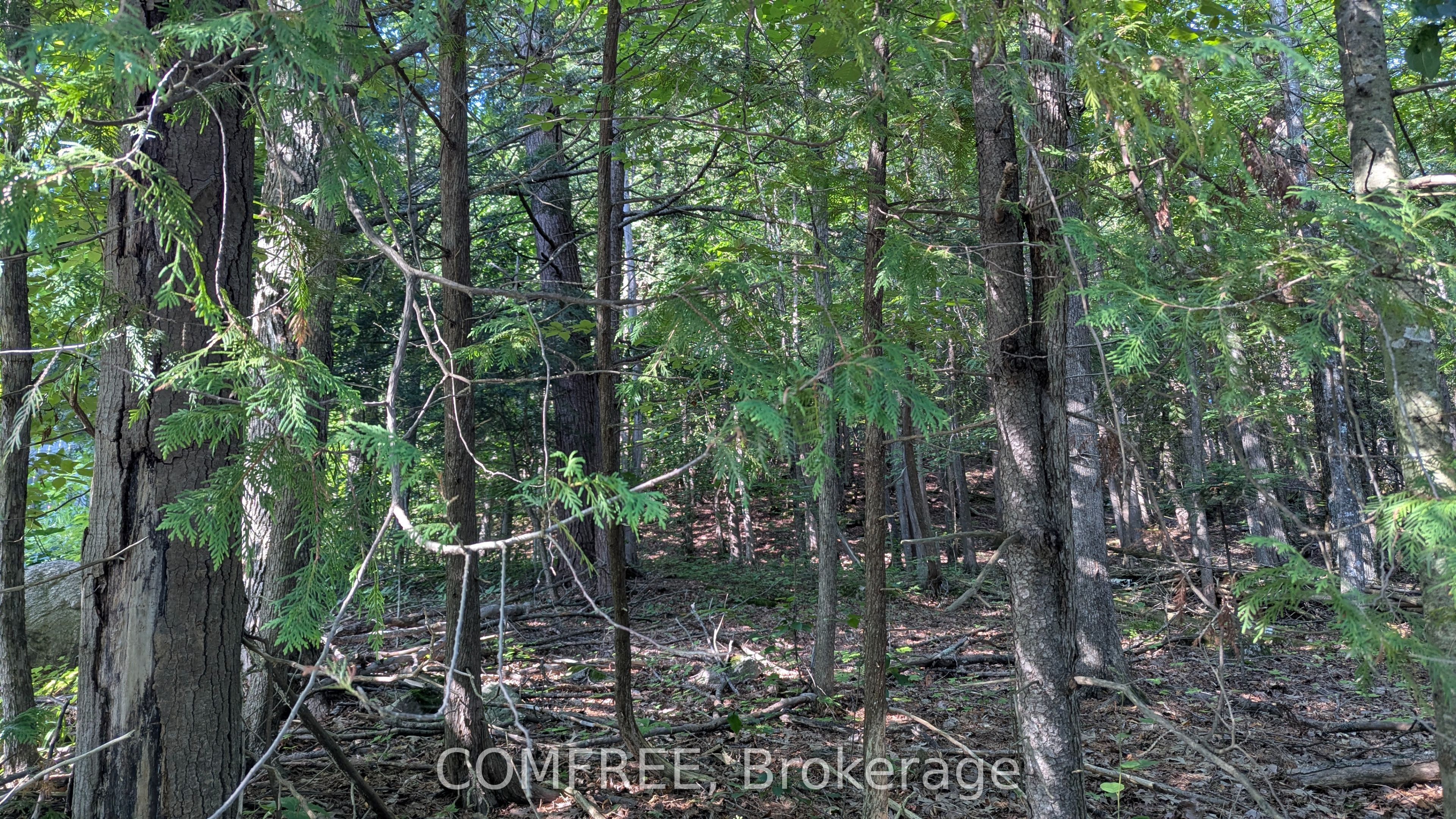 4853 Opeongo Road Property Photo 2