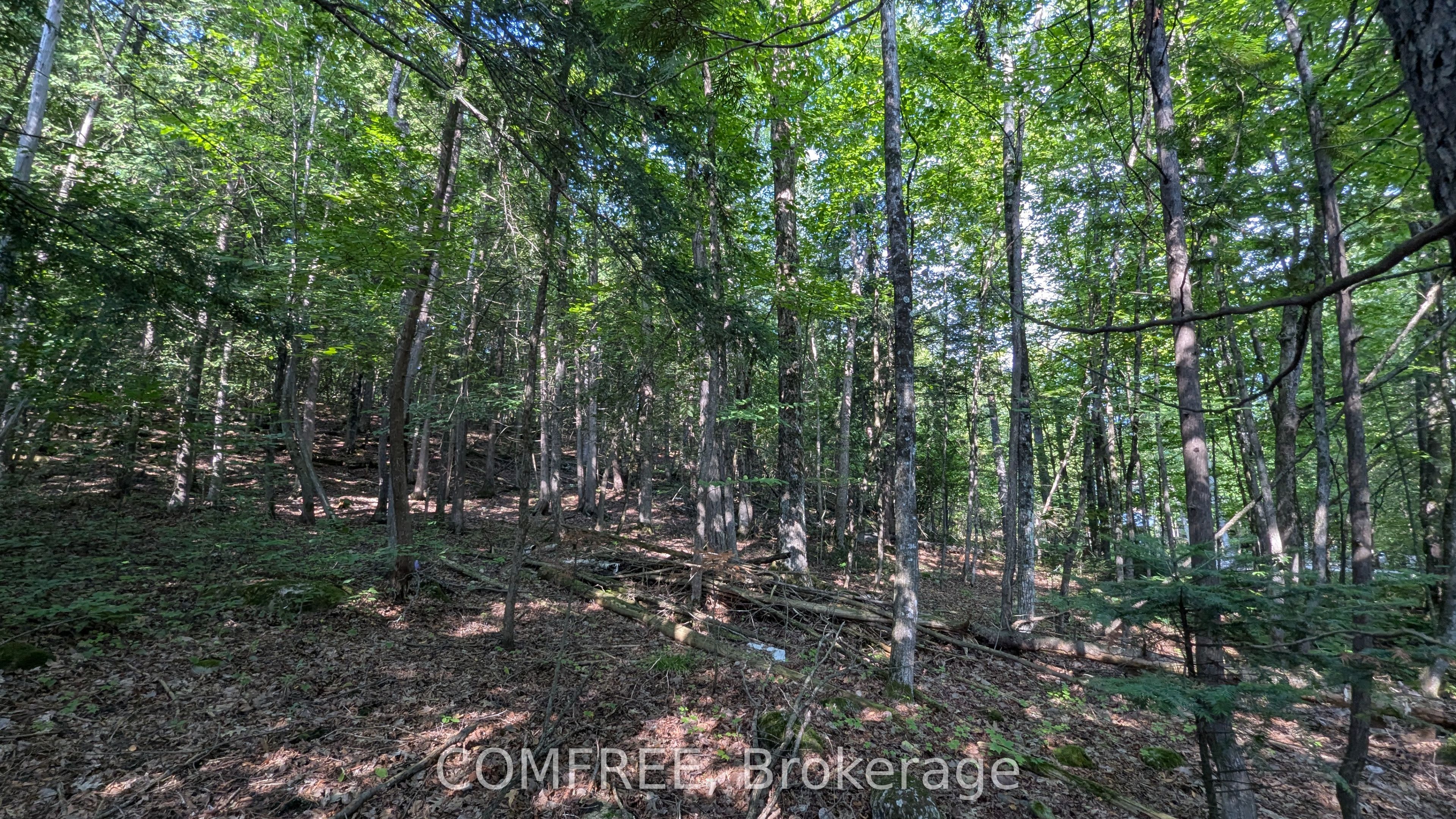 4853 Opeongo Road Property Photo 3