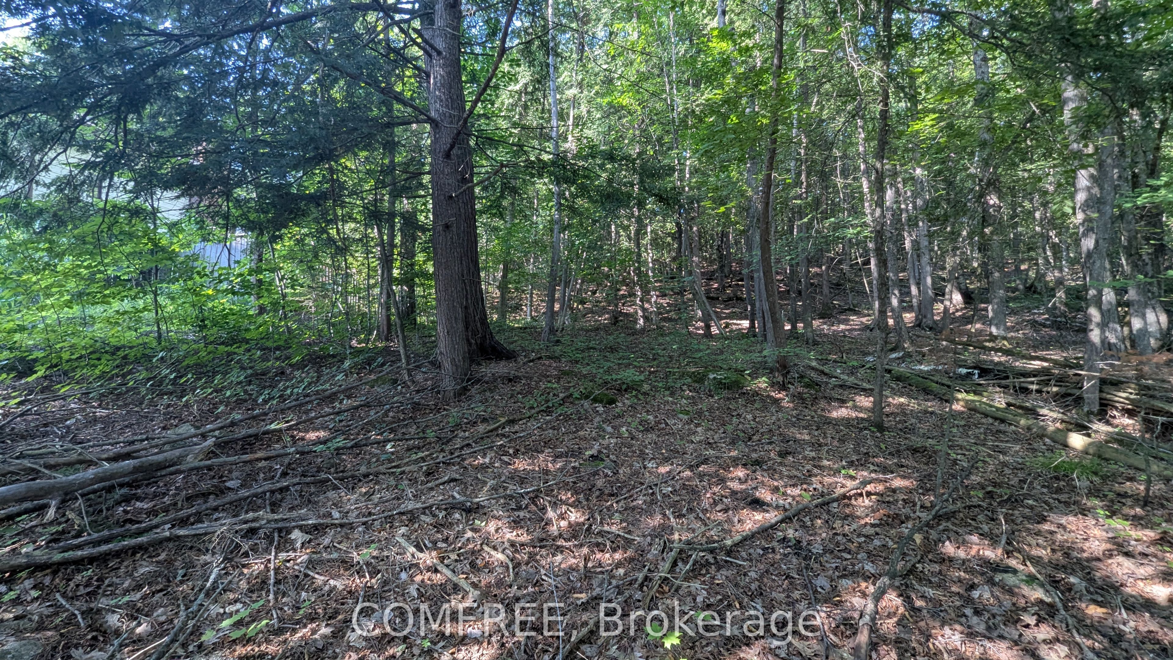 4853 Opeongo Road Property Photo 4