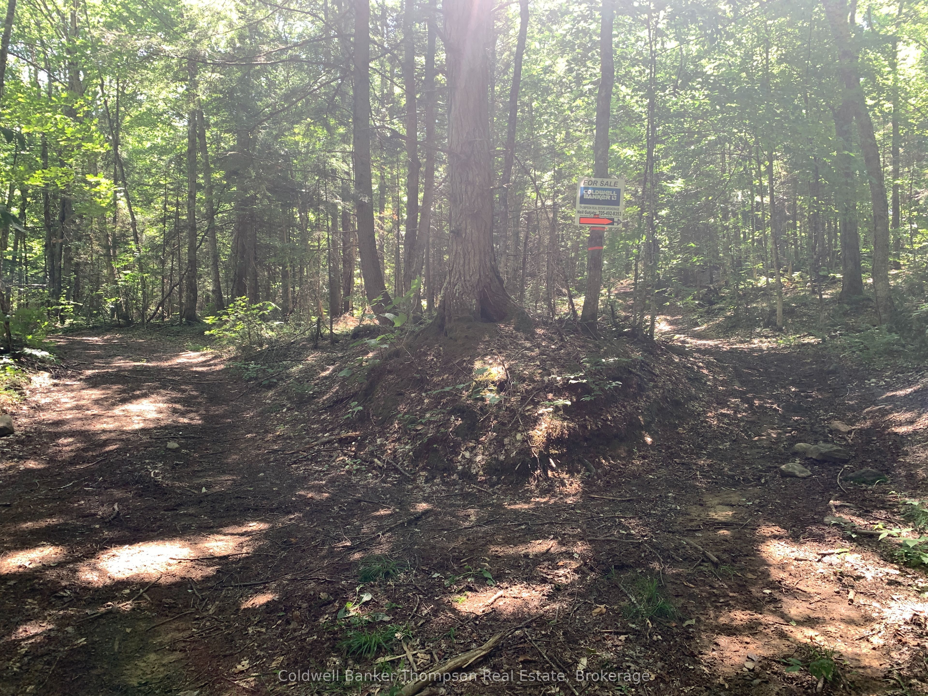 Lot 12 Con 2 N/a Trail Property Photo 3