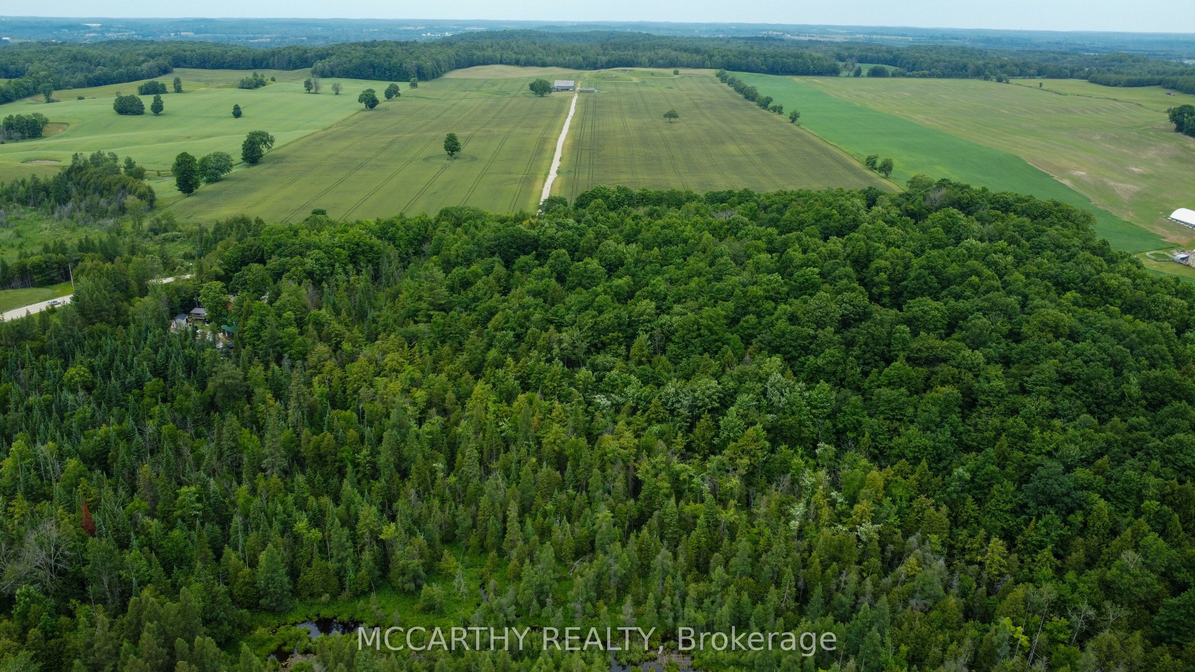 262090 18 Concession Property Photo 46