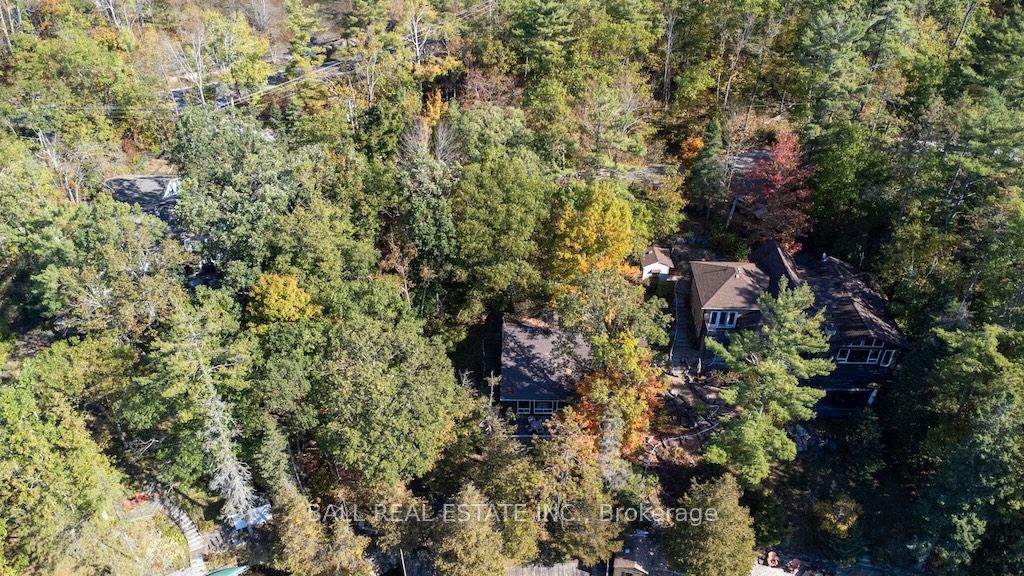 12 Bedwell Drive Property Photo 5