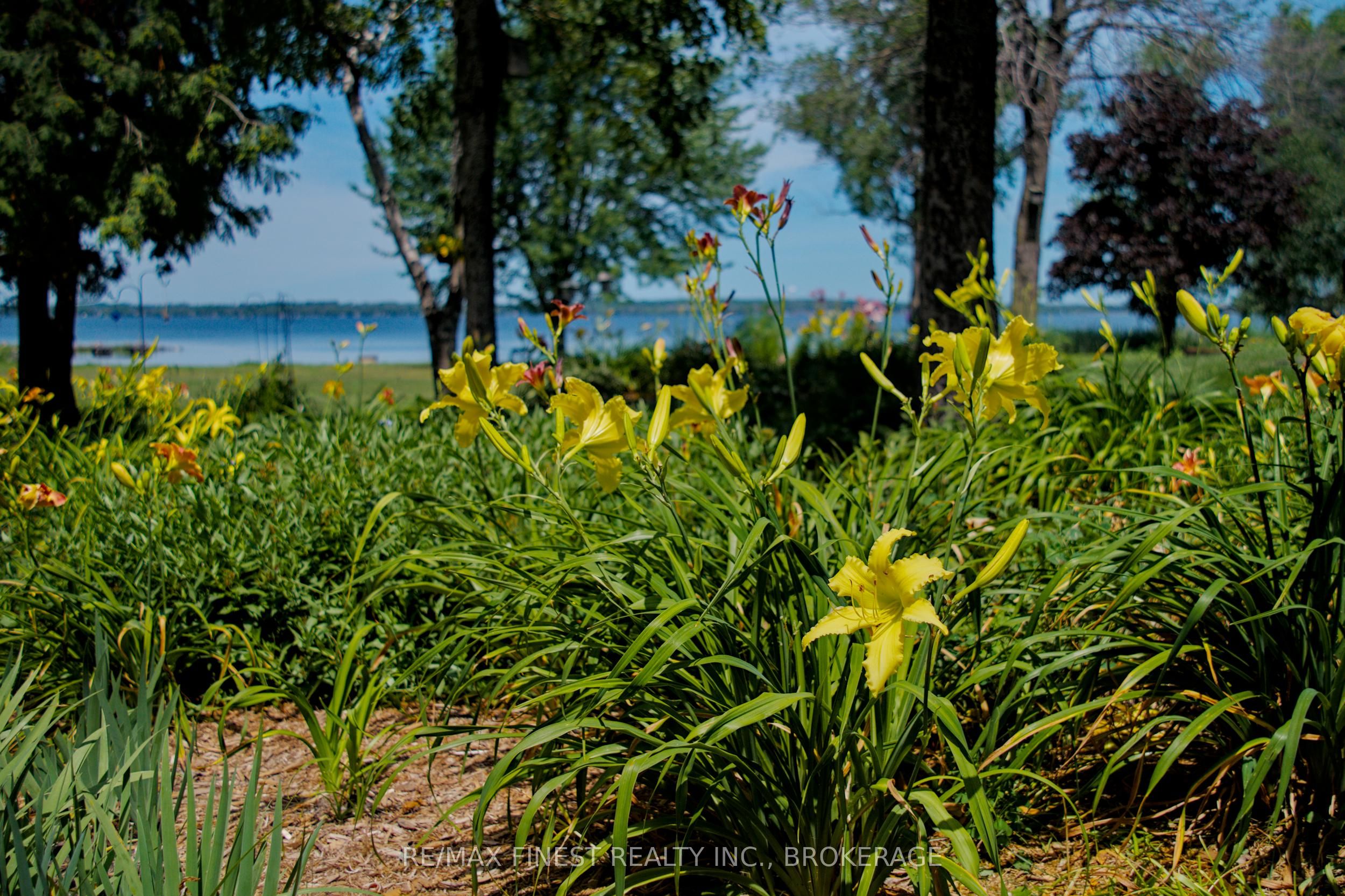 10930 Front Road Property Photo 44