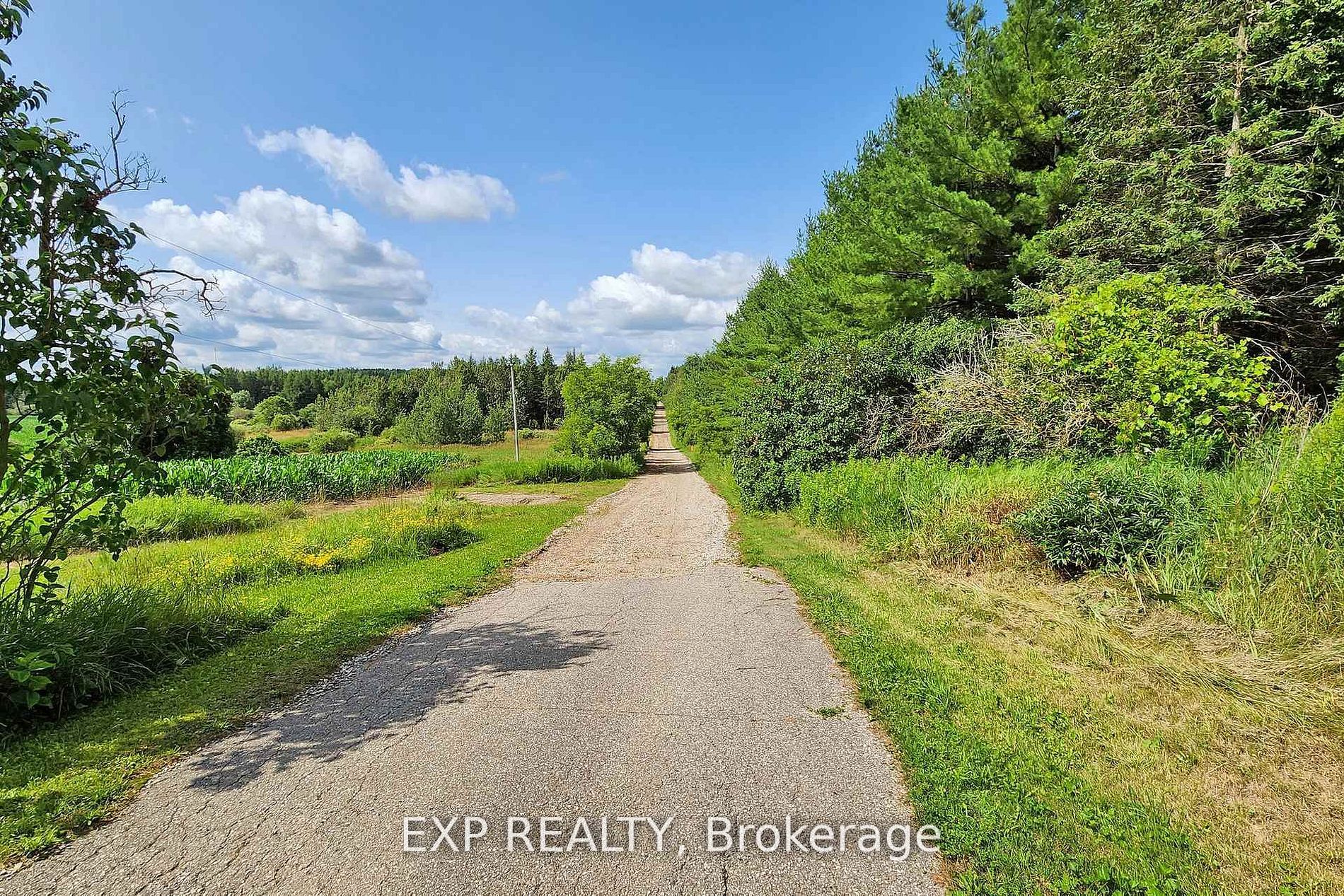 351219 Seventeenth Line Property Photo 4