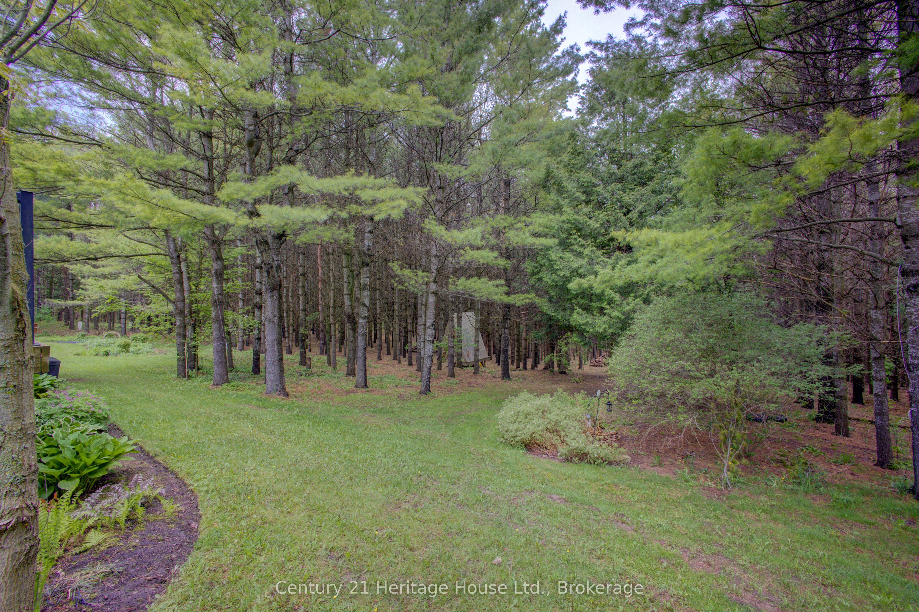 262845 Varney Road Property Photo 35