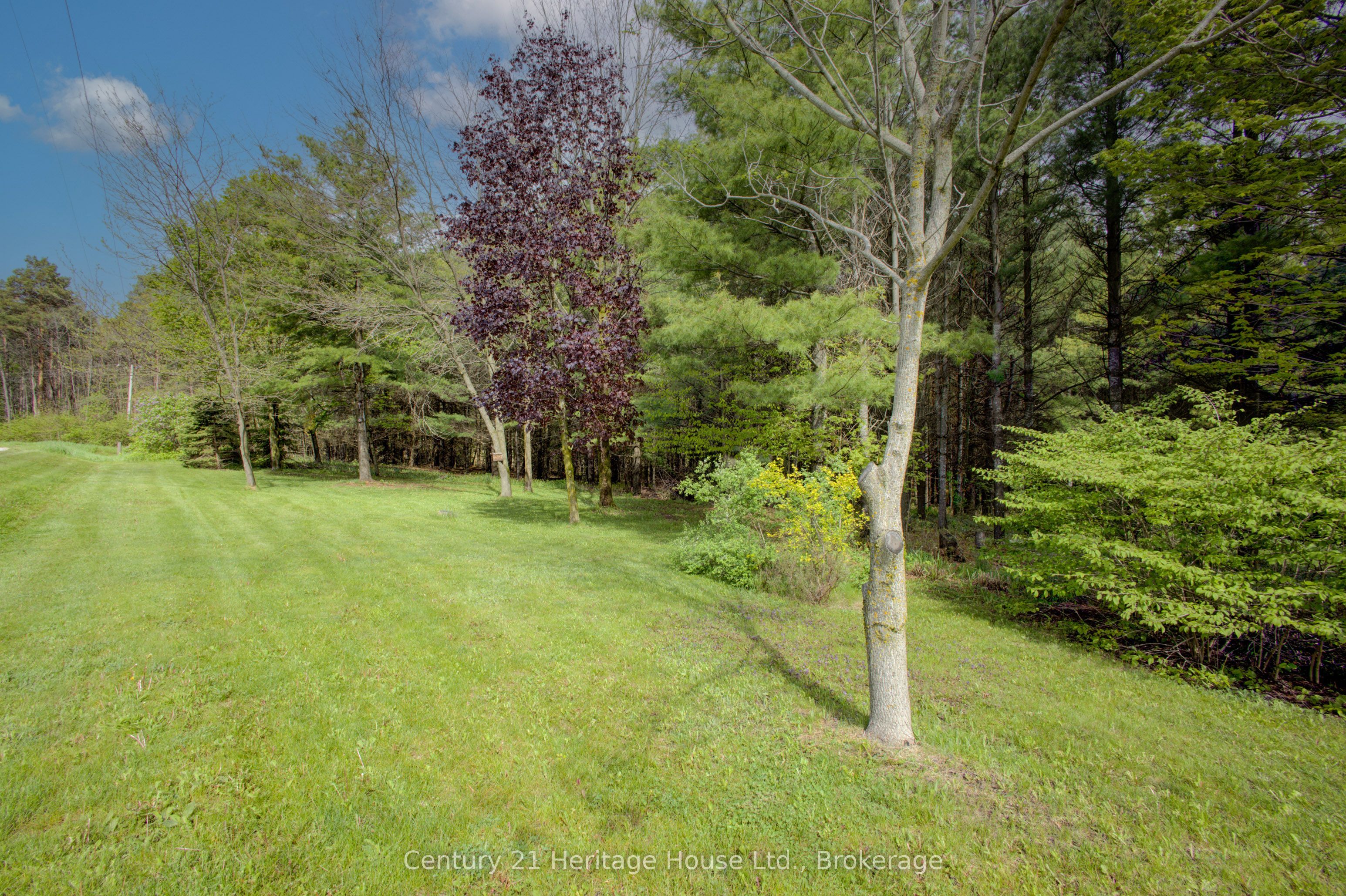 262845 Varney Road Property Photo 42