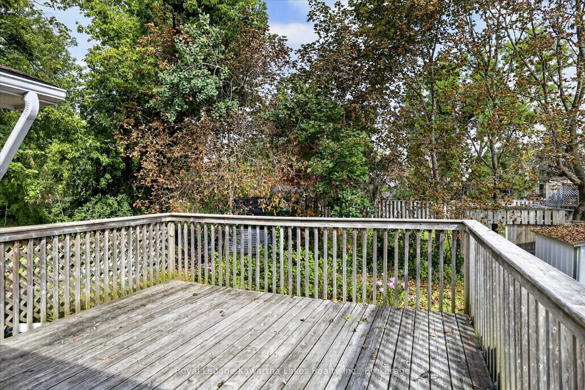 78 Durham Street W Property Photo 44