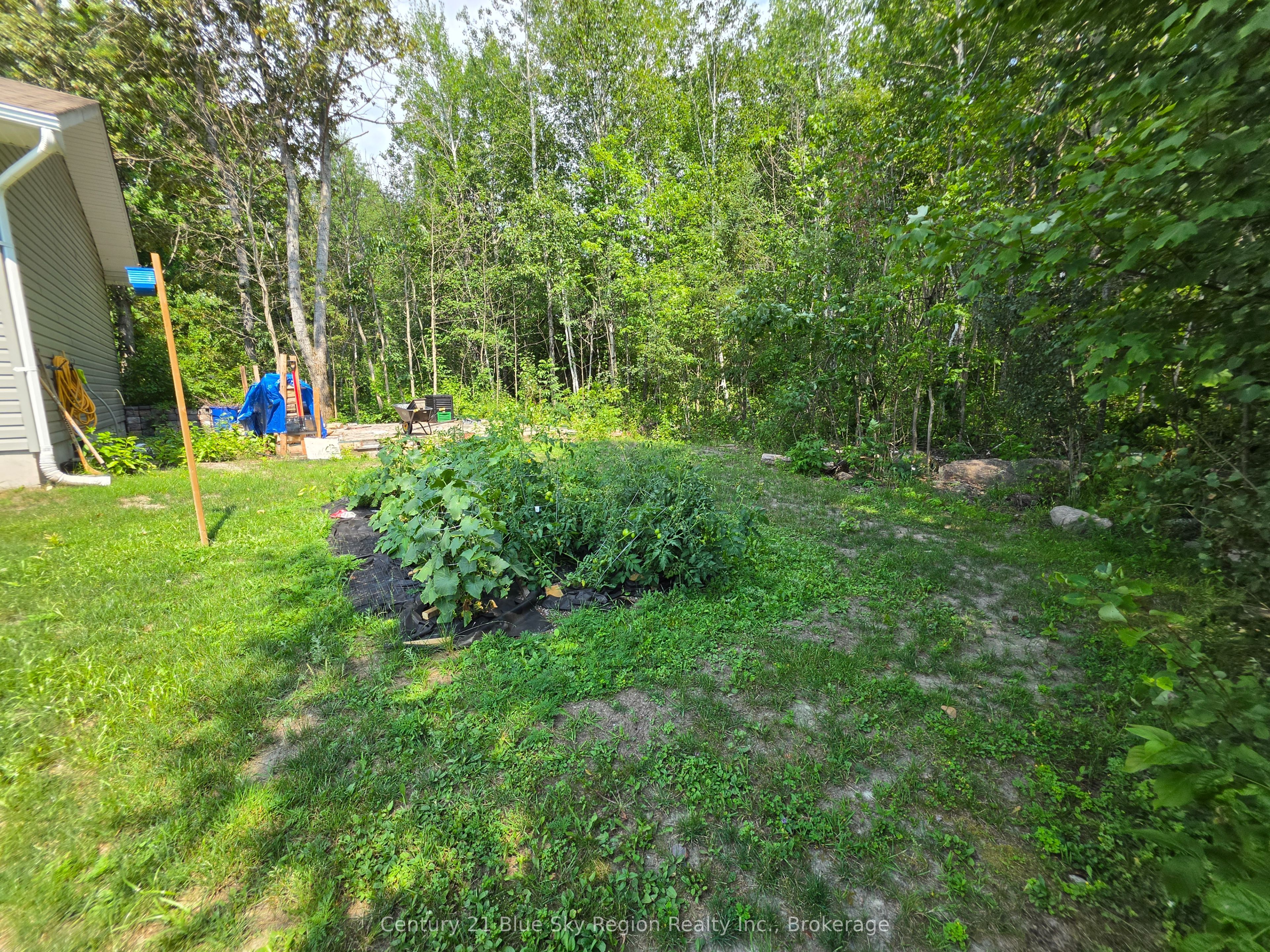 240 Cache Bay Road Property Photo 27