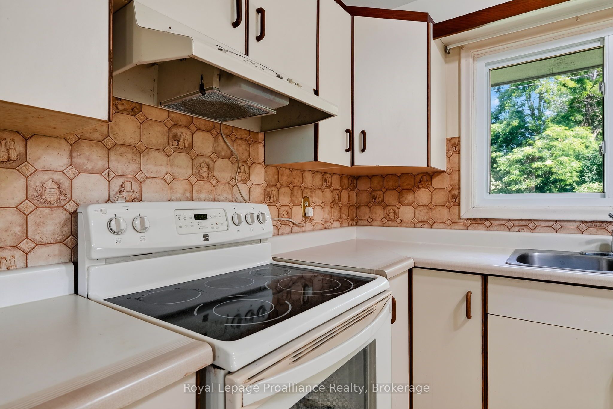 10132 County Rd 2 Property Photo 23