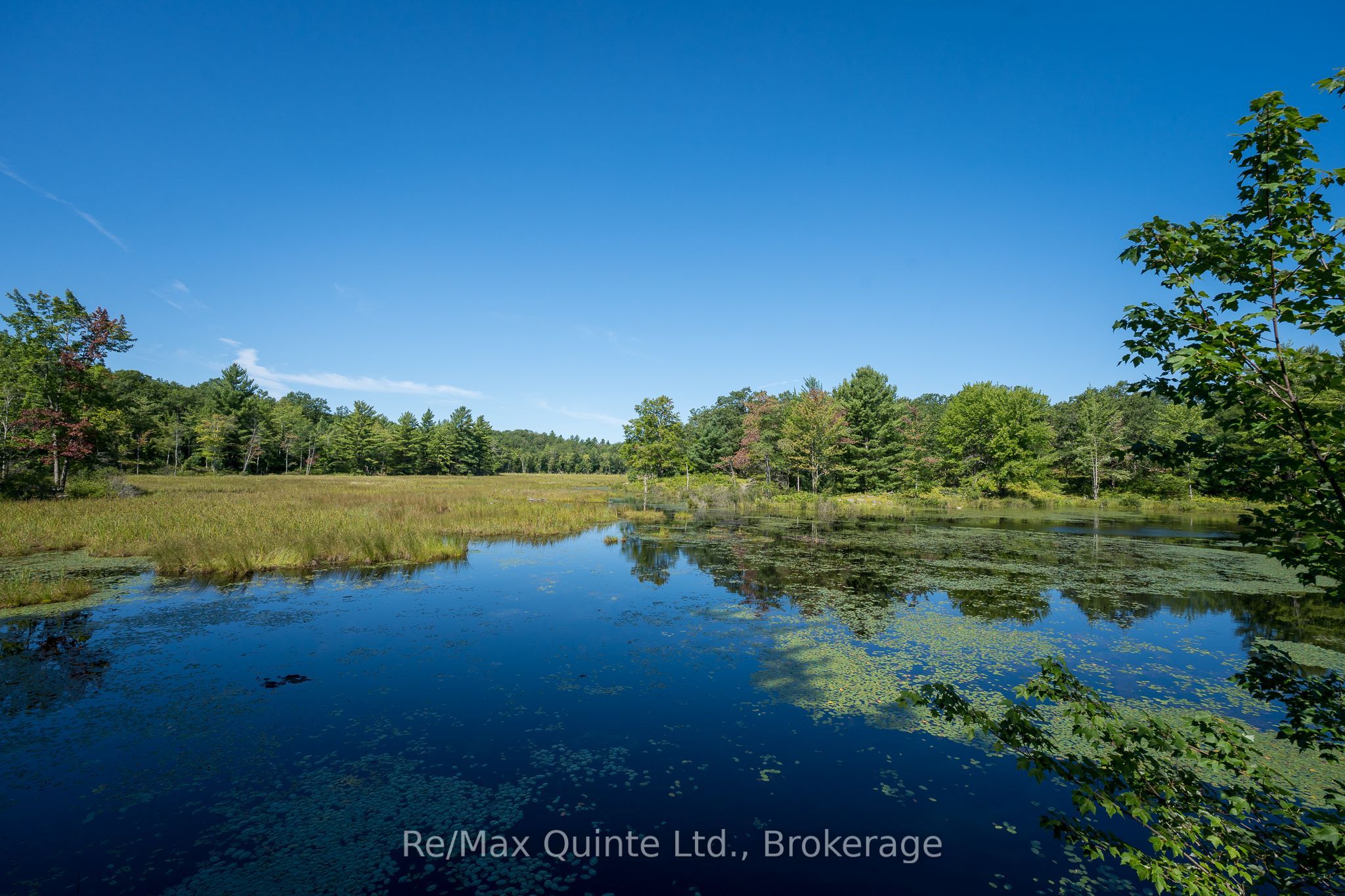 1477 Sulphide Road Property Photo 38