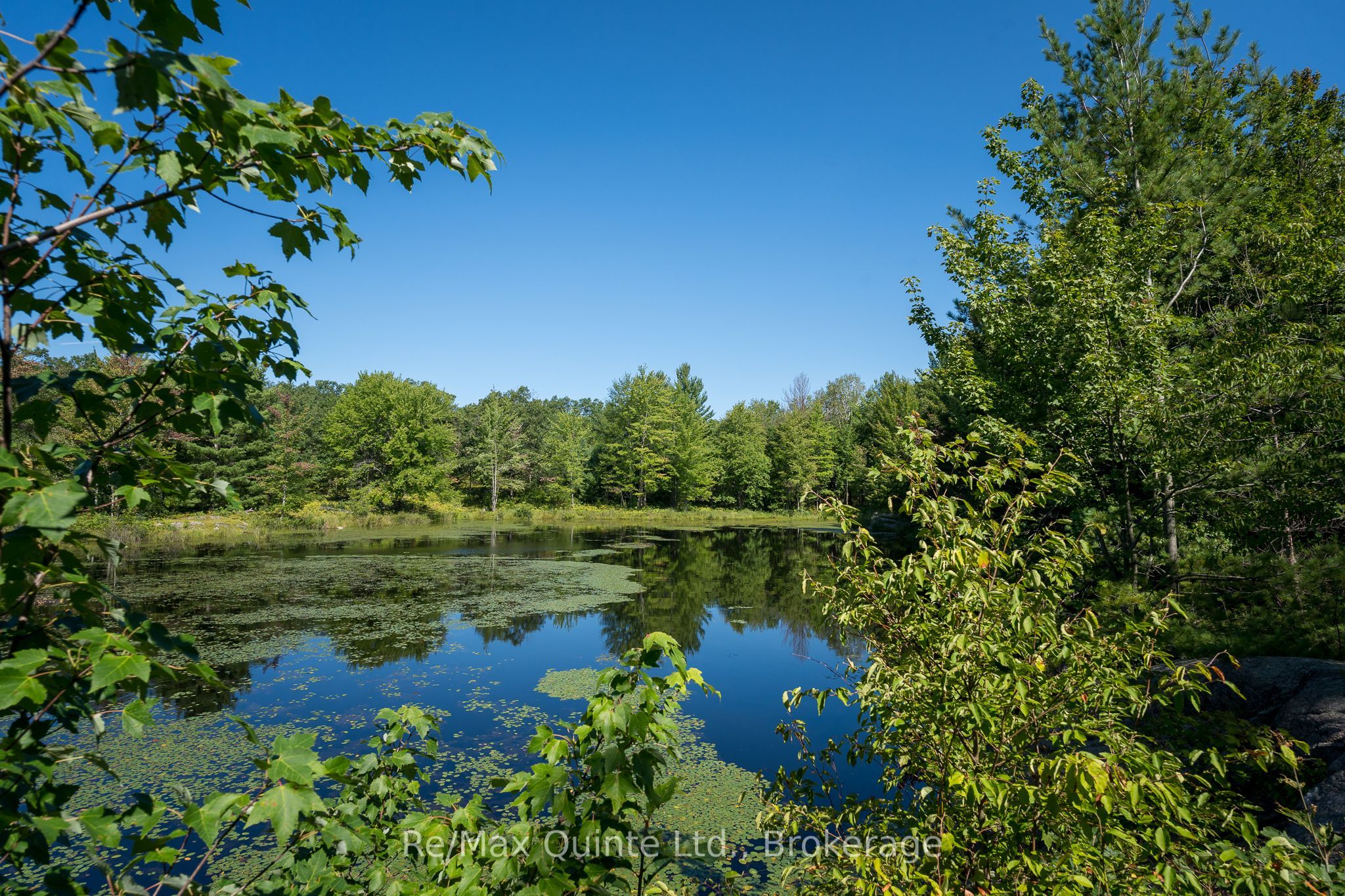 1477 Sulphide Road Property Photo 39