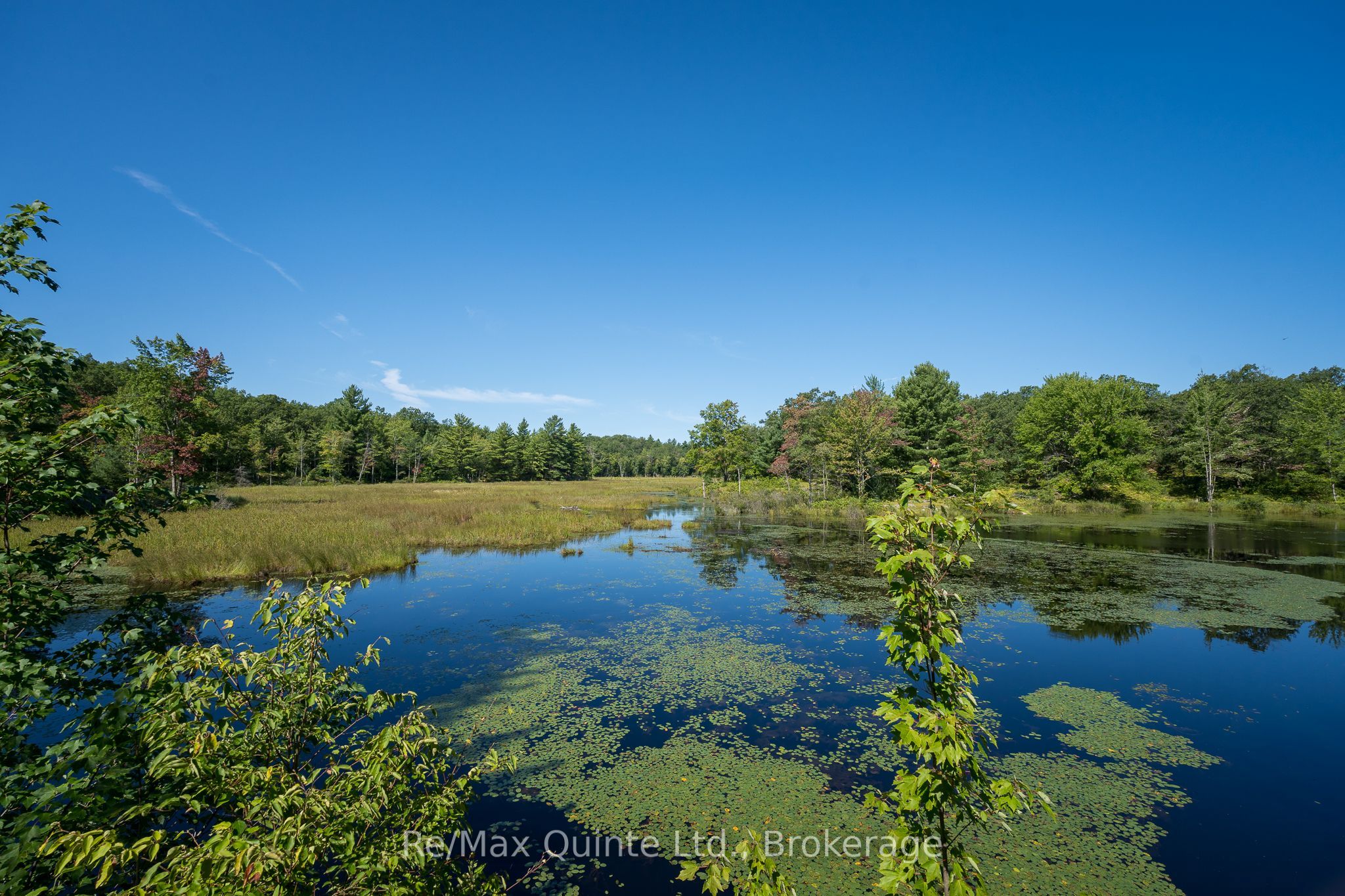 1477 Sulphide Road Property Photo 43