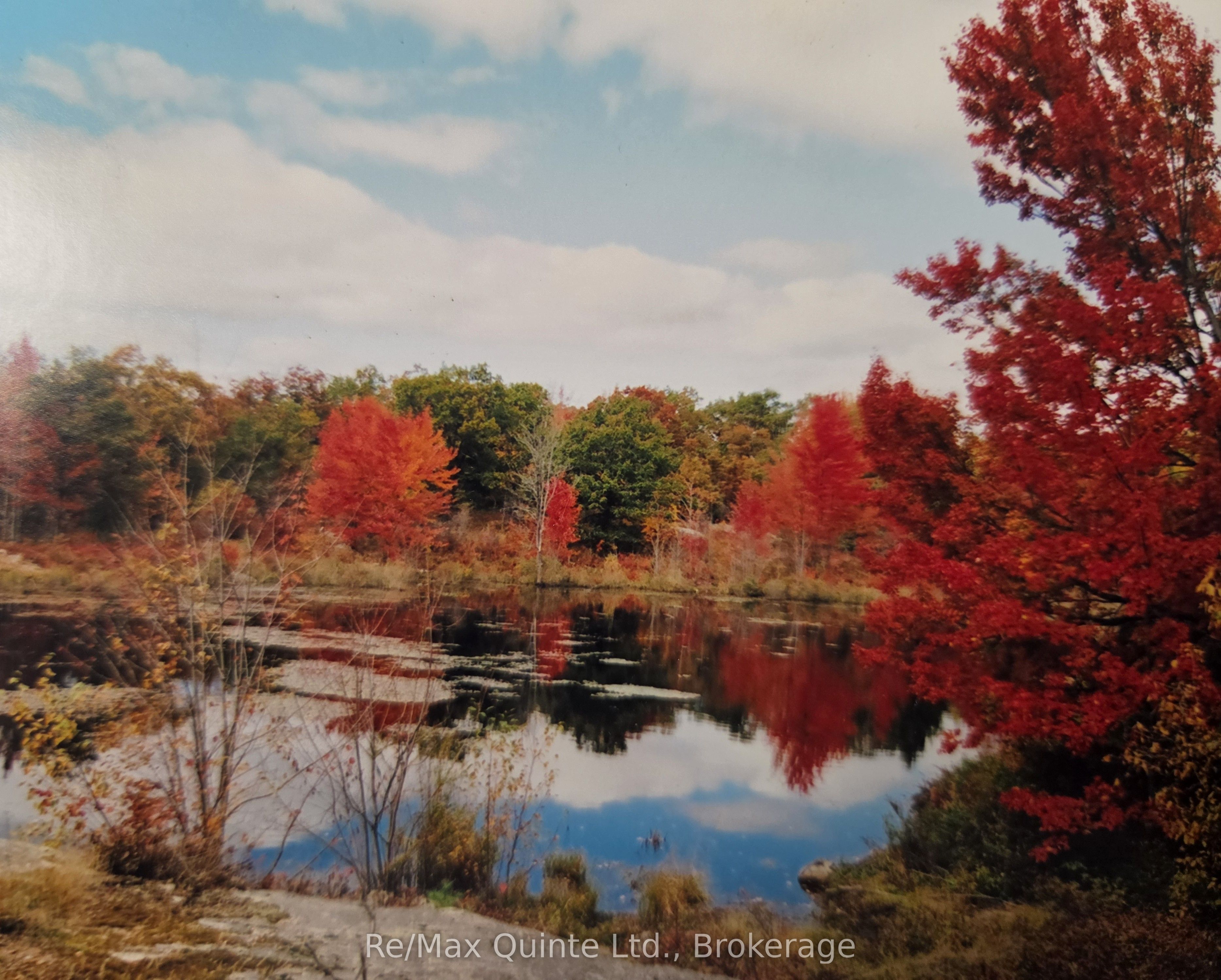 1477 Sulphide Road Property Photo 44