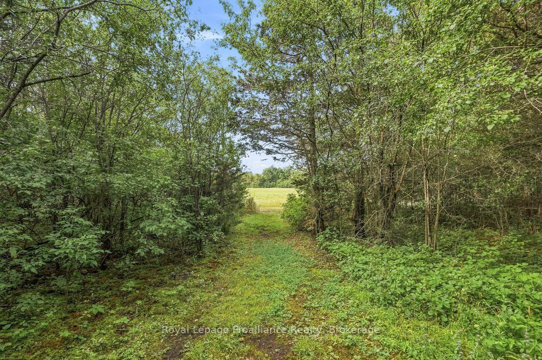2631 62 Highway Property Photo 45