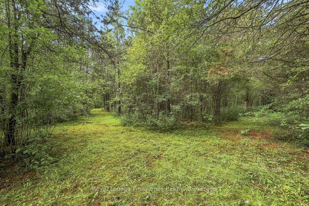 2631 62 Highway Property Photo 47