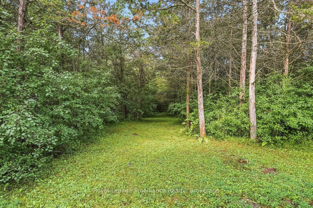 2631 62 Highway Property Photo 48