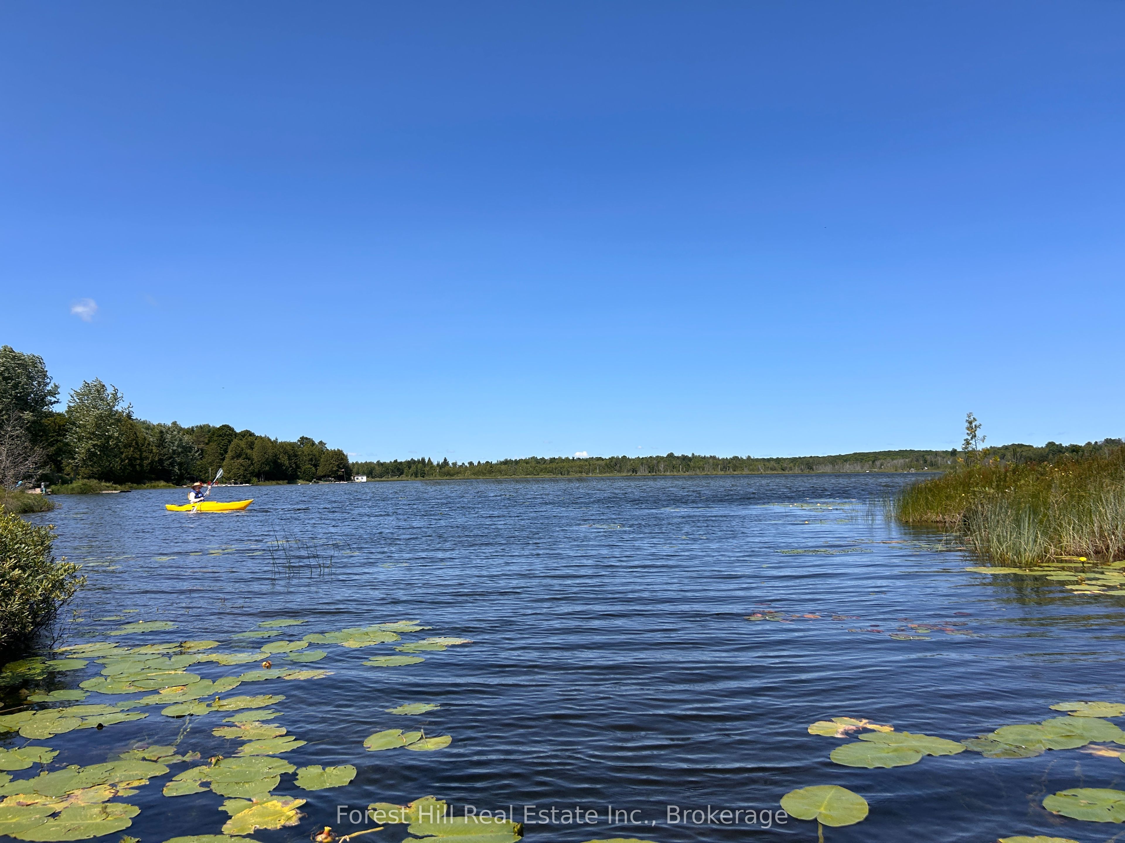 523583 12 Concession Property Photo 4