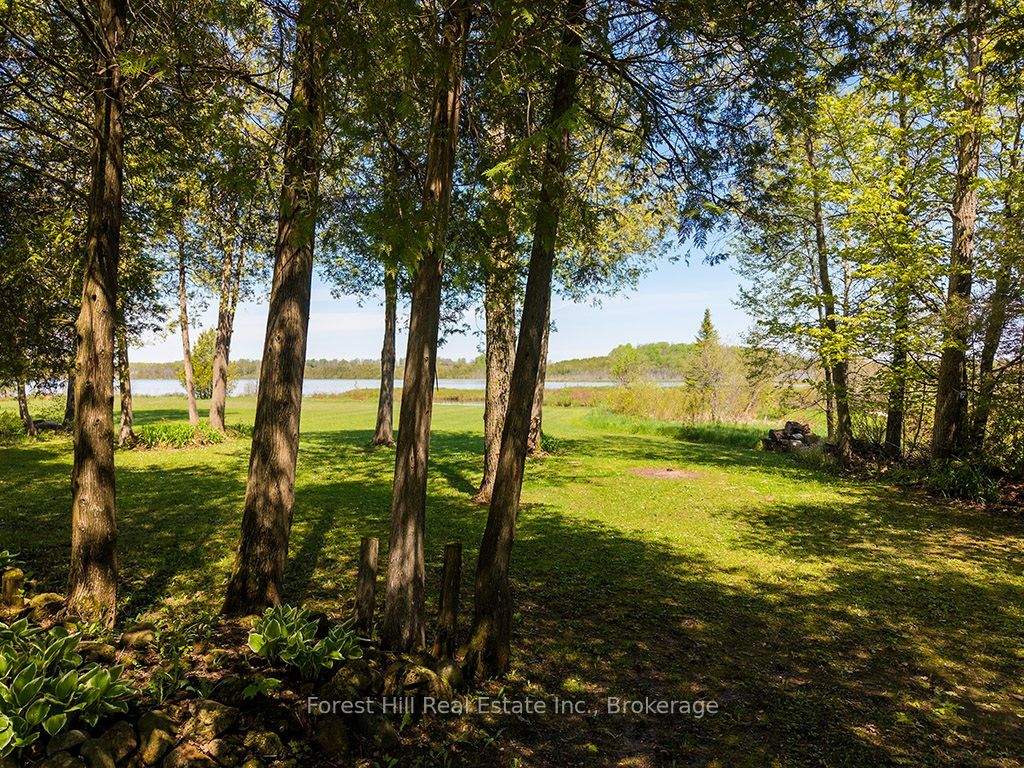 523583 12 Concession Property Photo 26