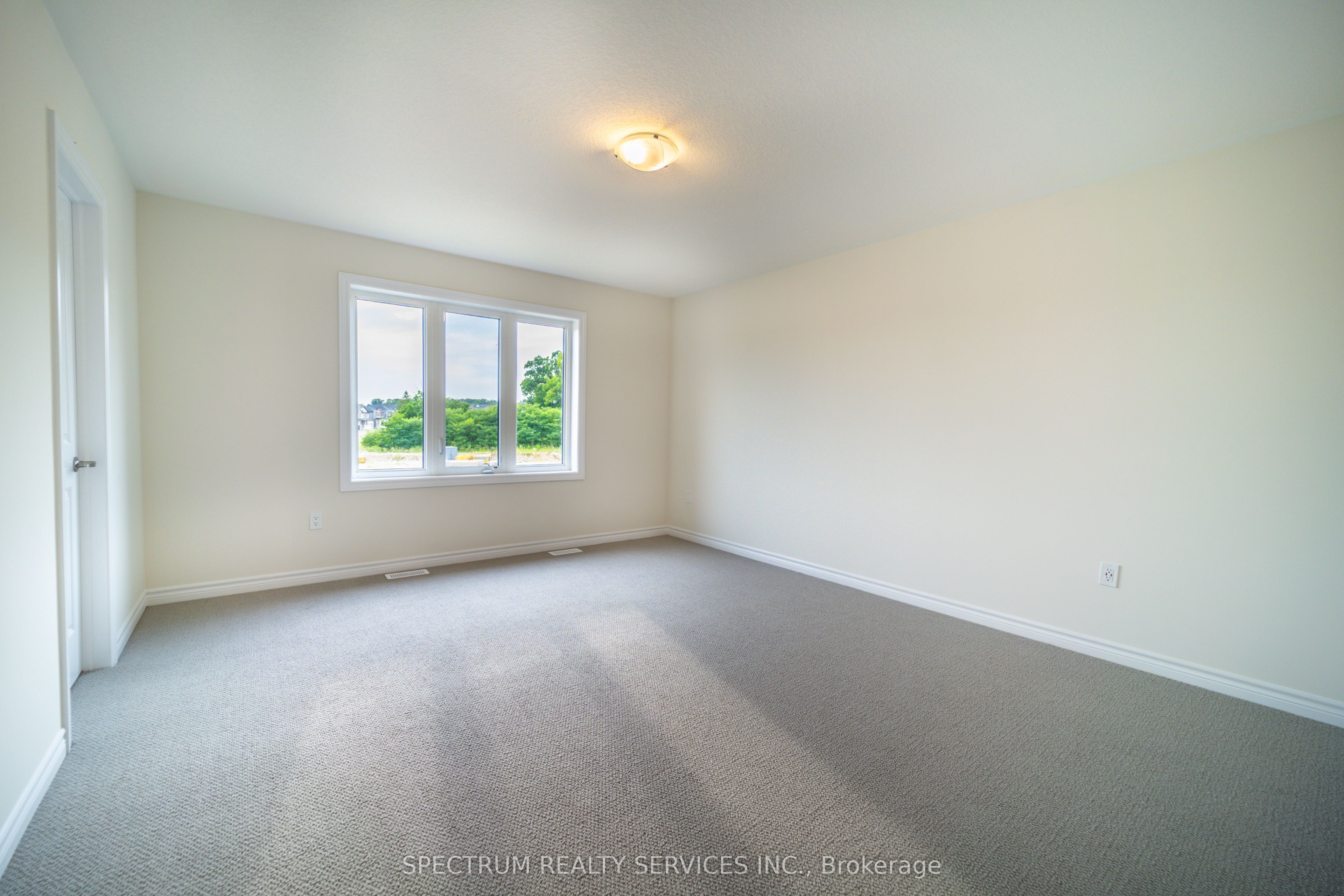 19 Chapman Road Property Photo 28