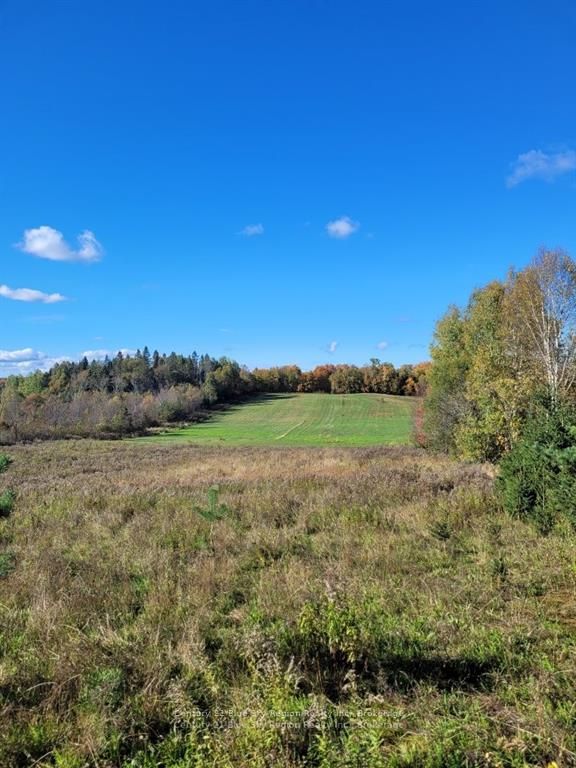 Pt Lt 33 Con 5 Hummel Line Property Photo 6