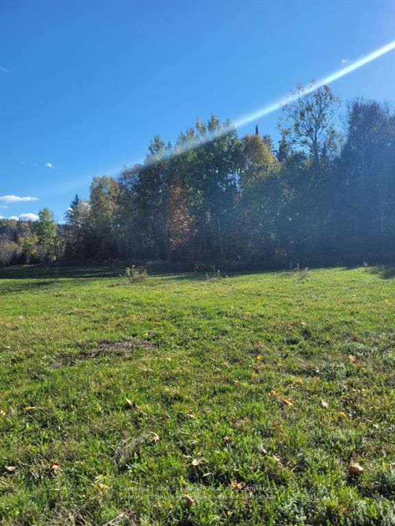Pt Lt 33 Con 5 Hummel Line Property Photo 8