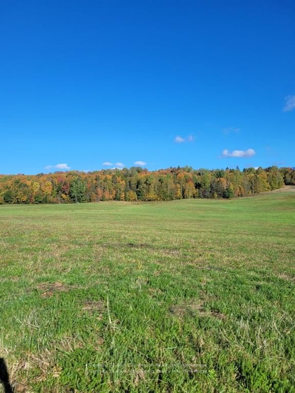 Pt Lt 33 Con 5 Hummel Line Property Photo 10