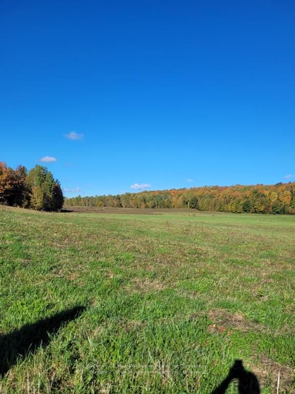 Pt Lt 33 Con 5 Hummel Line Property Photo 11